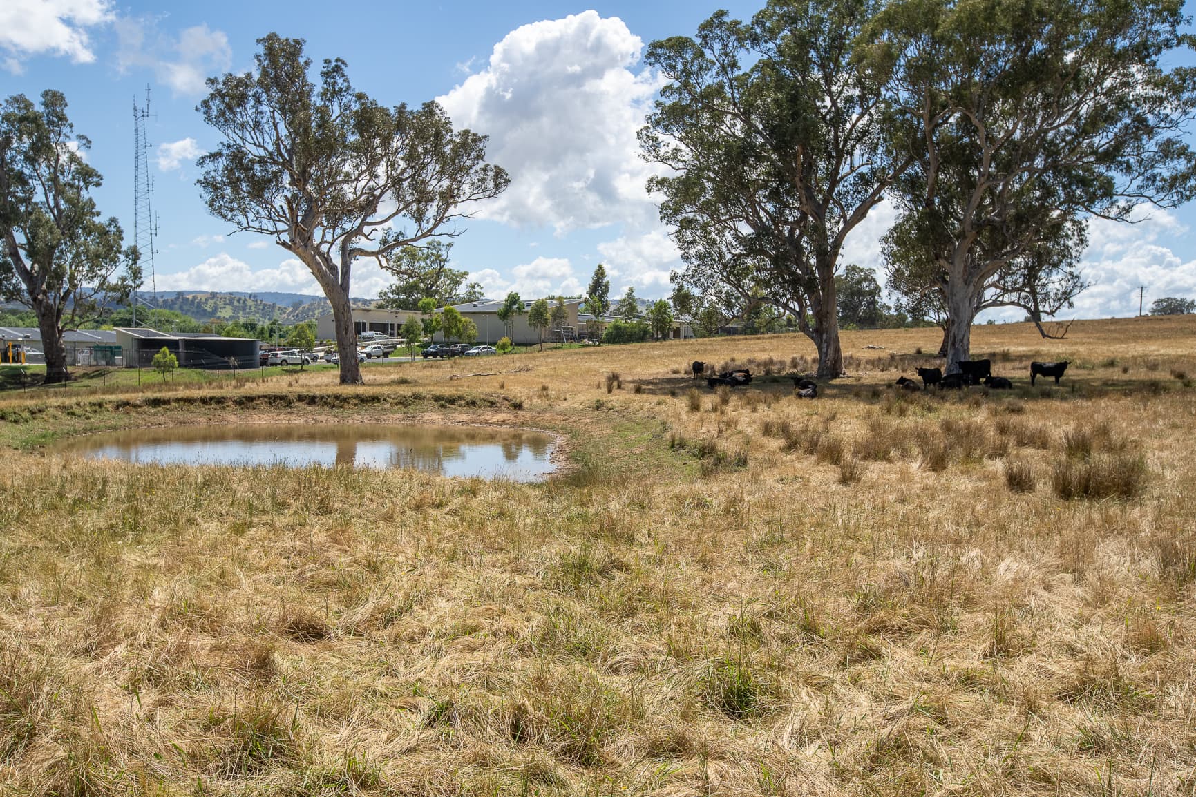 7 TALLANGATTA LOOKOUT Road, Tallangatta, Tallangatta - Thumbnail 3