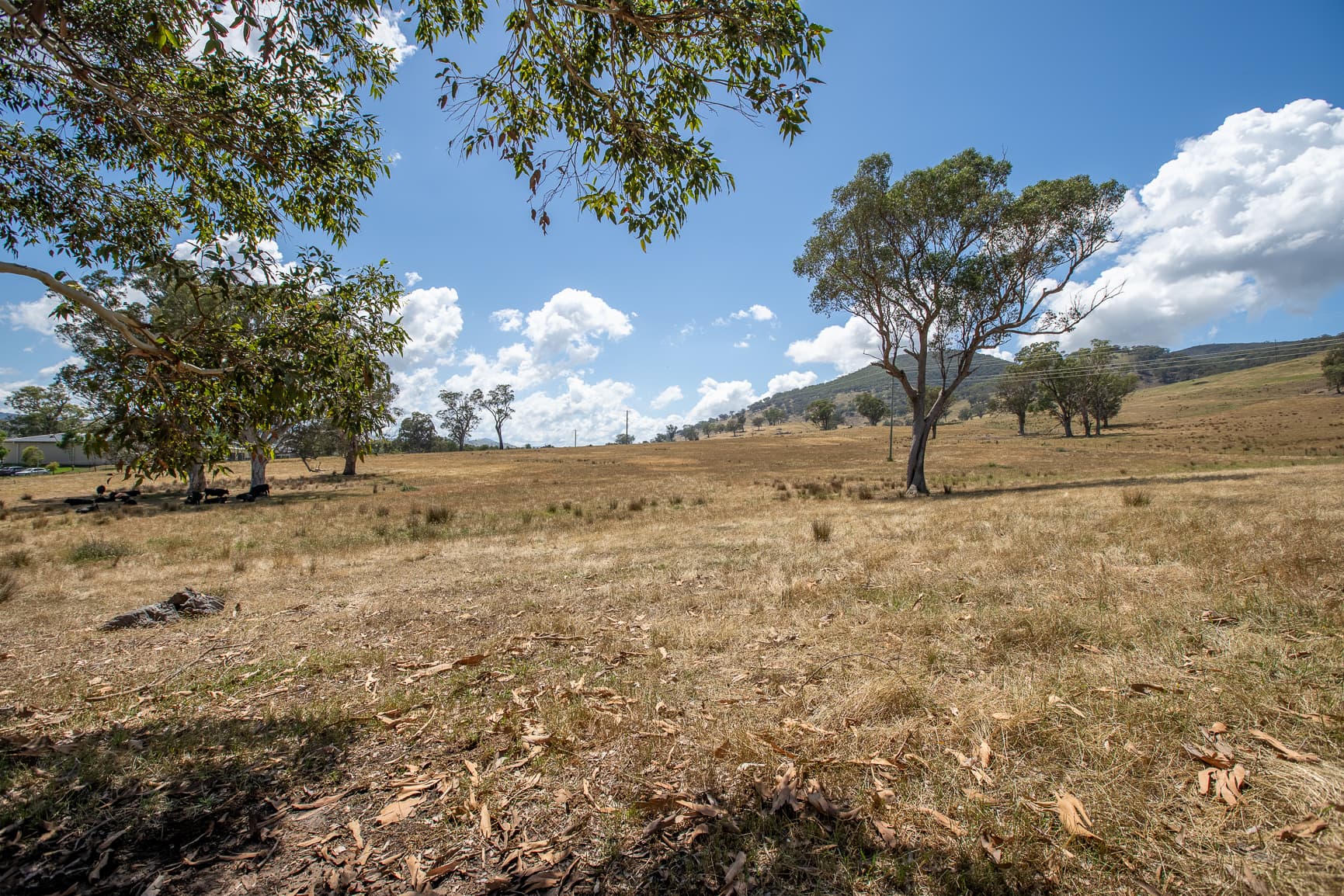 7 TALLANGATTA LOOKOUT Road, Tallangatta, Tallangatta - Thumbnail 6
