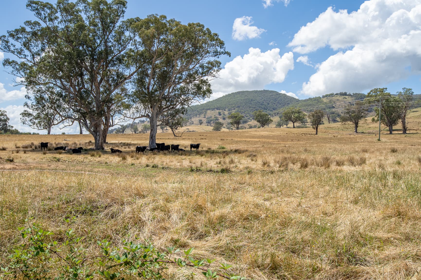 7 TALLANGATTA LOOKOUT Road, Tallangatta, Tallangatta - Thumbnail 8