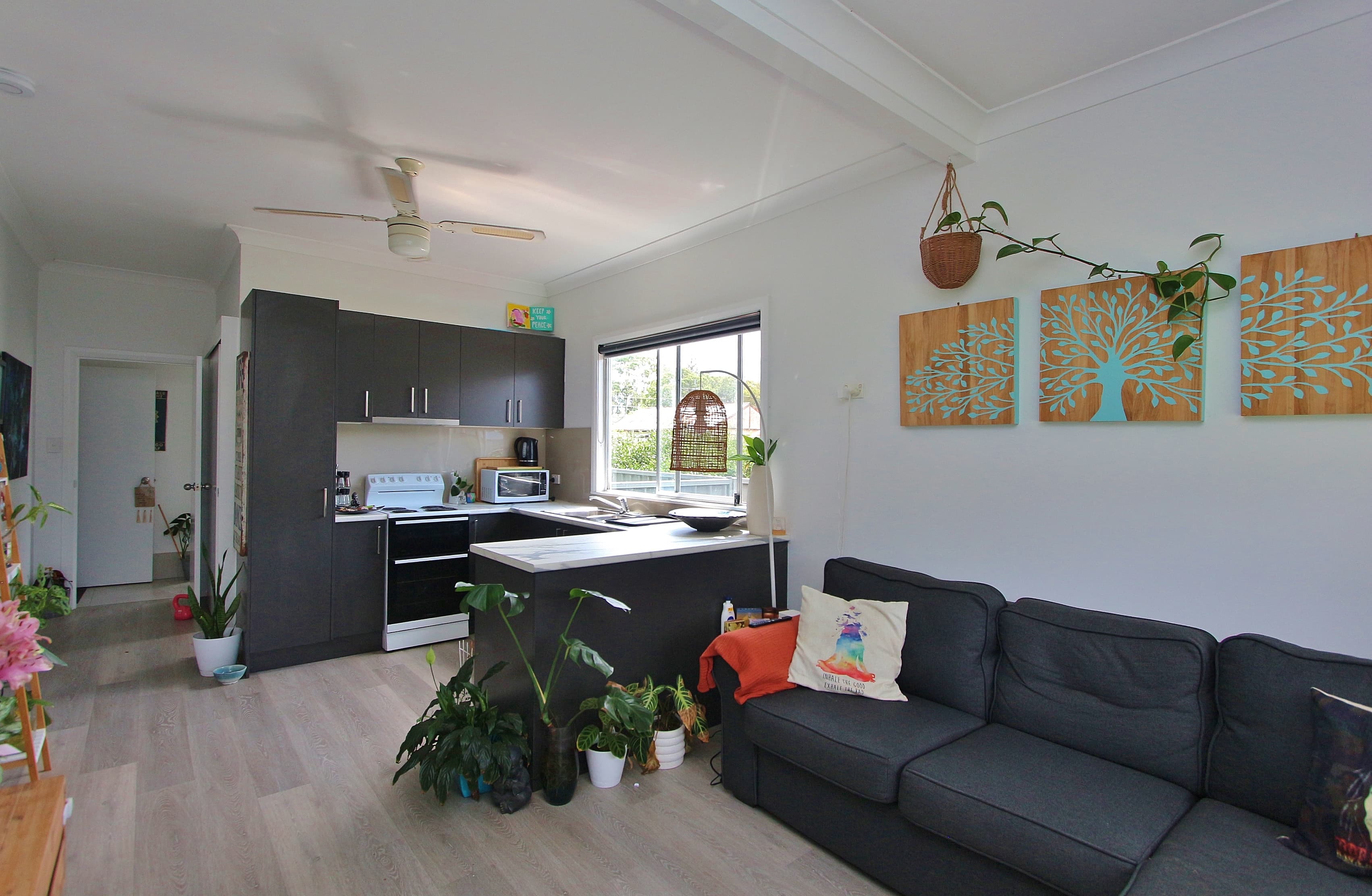 39 Alfred Street, North Haven, North Haven - Thumbnail 6
