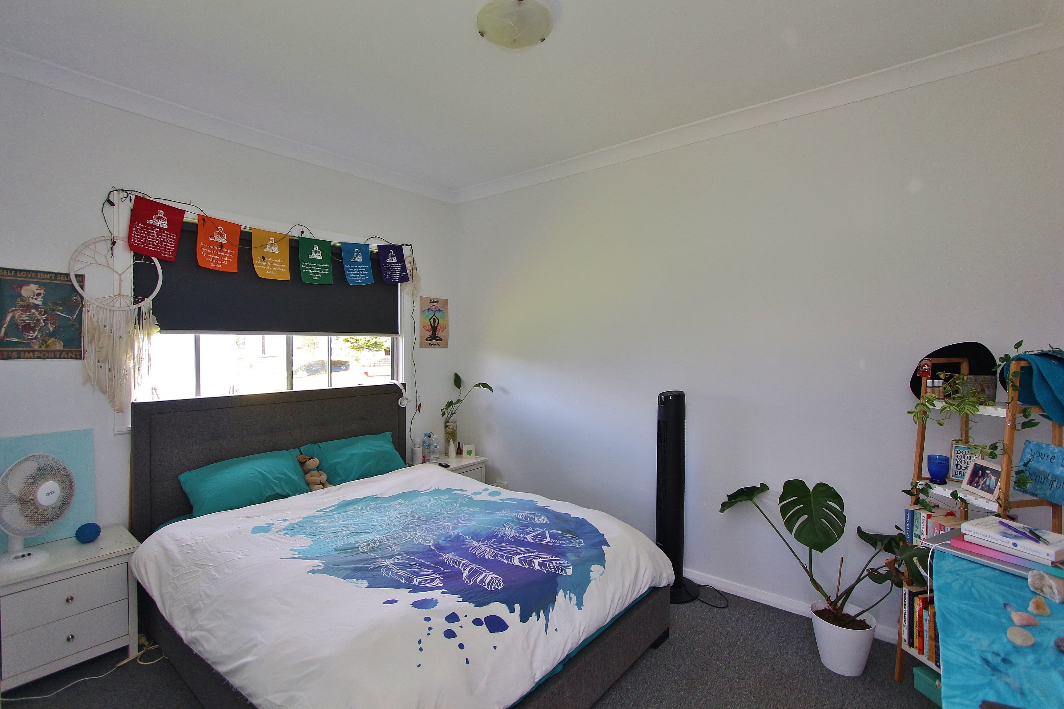 39 Alfred Street, North Haven, North Haven - Thumbnail 7