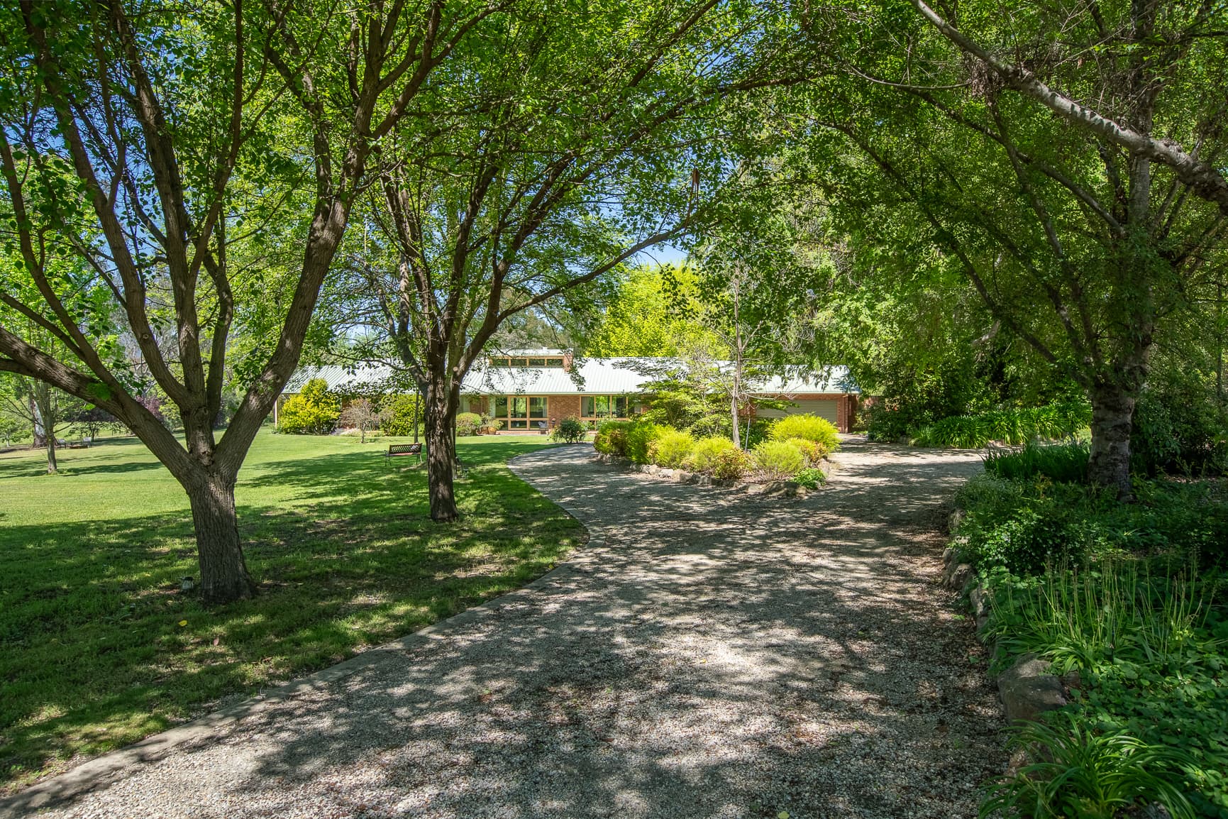 51 FITZPATRICK Drive, Staghorn Flat, Staghorn Flat - Thumbnail 2