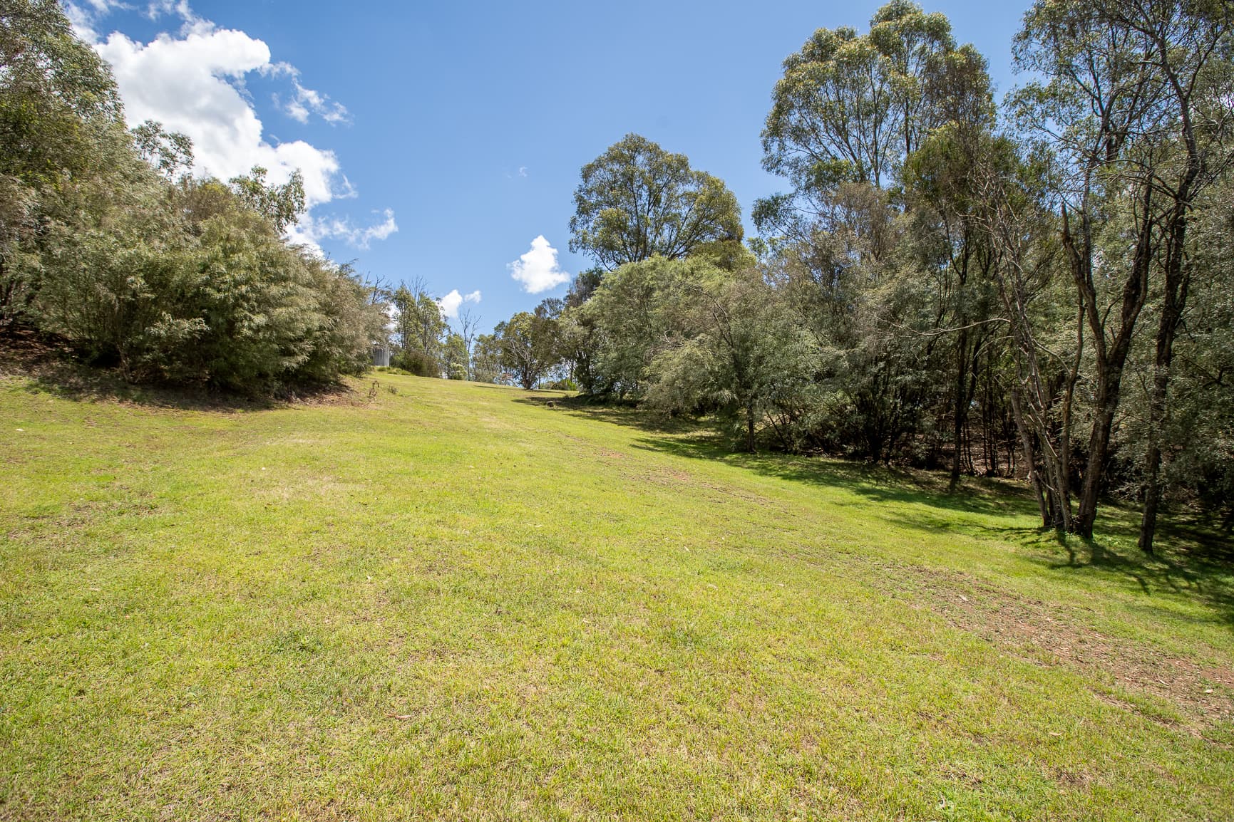 WOMBAT GULLY Road, Mitta Mitta, Mitta Mitta - Thumbnail 3