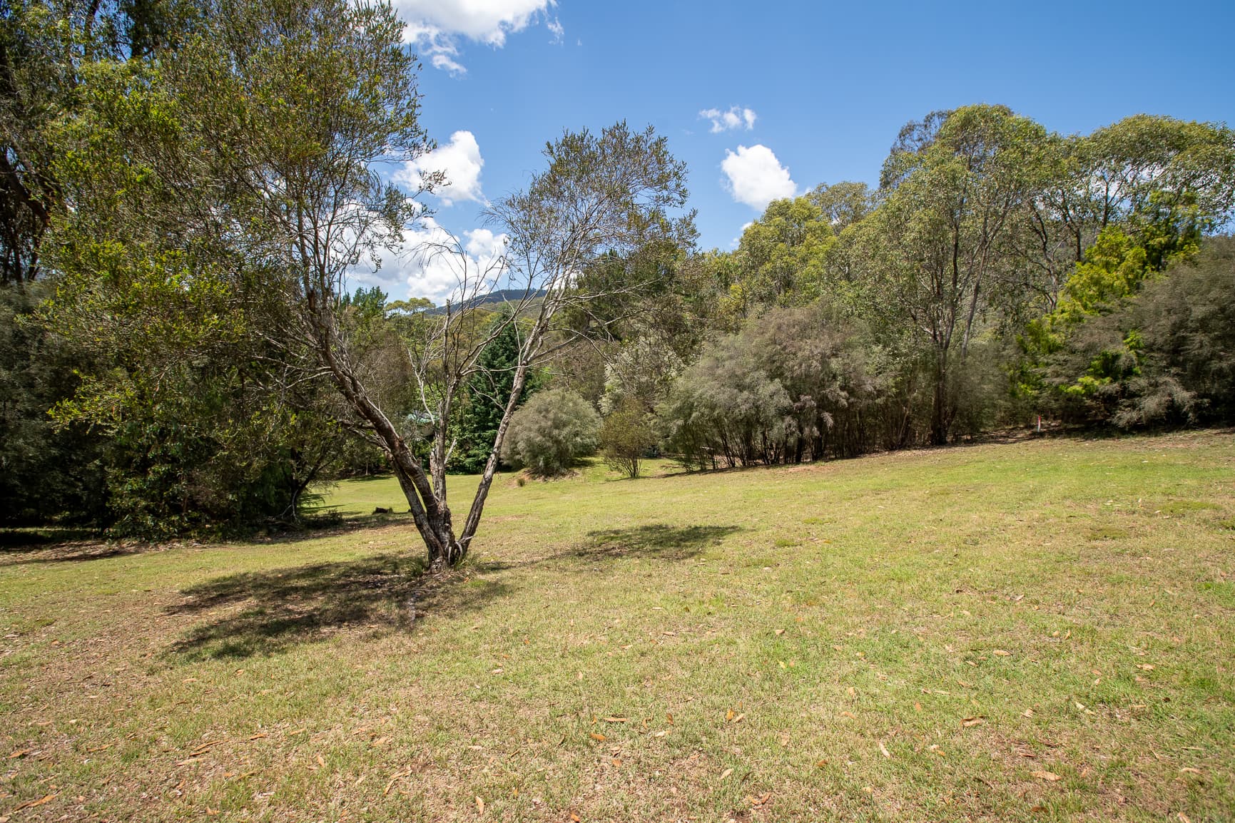 WOMBAT GULLY Road, Mitta Mitta, Mitta Mitta - Thumbnail 6