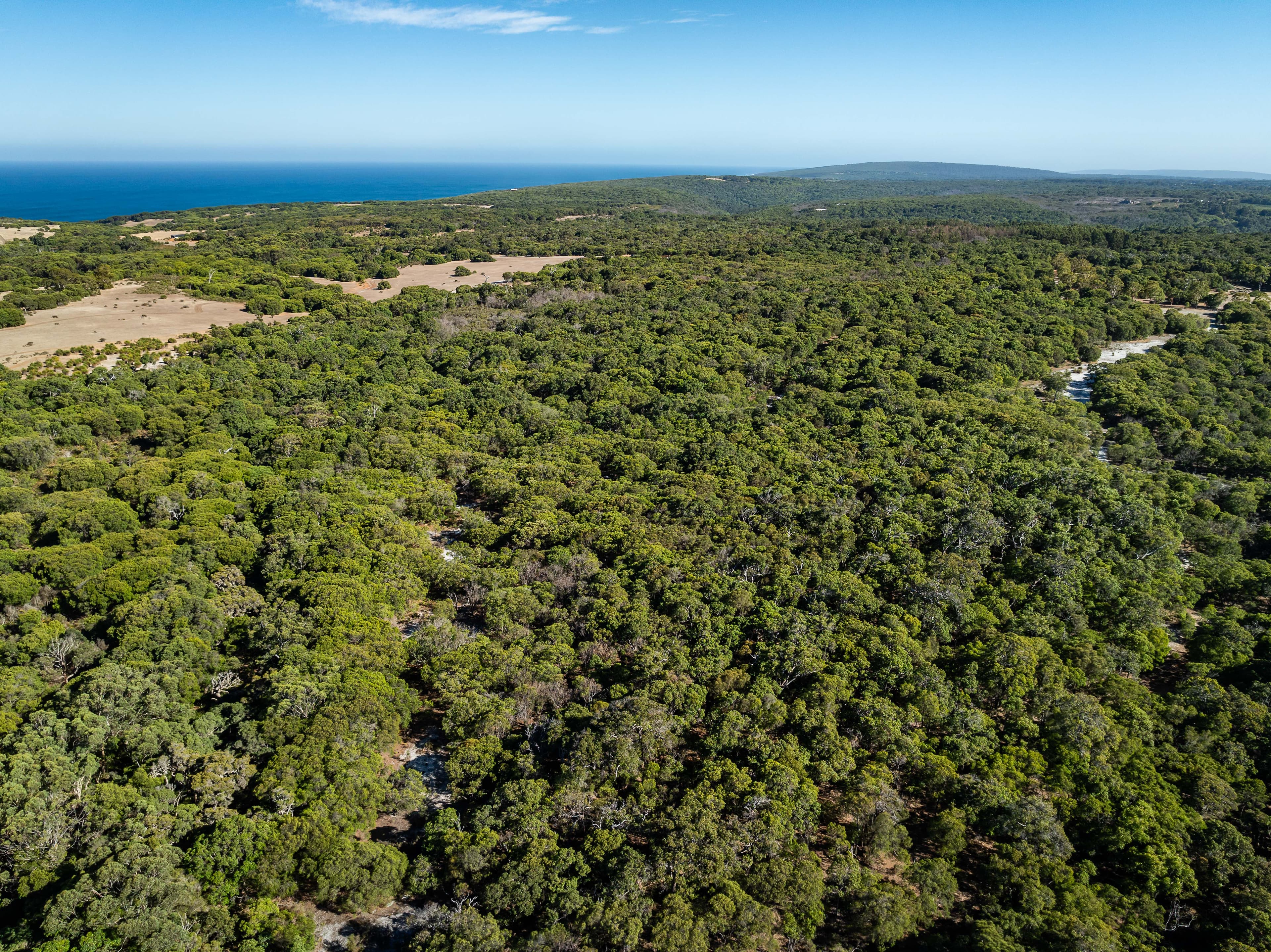 Lot 101 Wilyabrup Road, Wilyabrup, Wilyabrup - Thumbnail 2