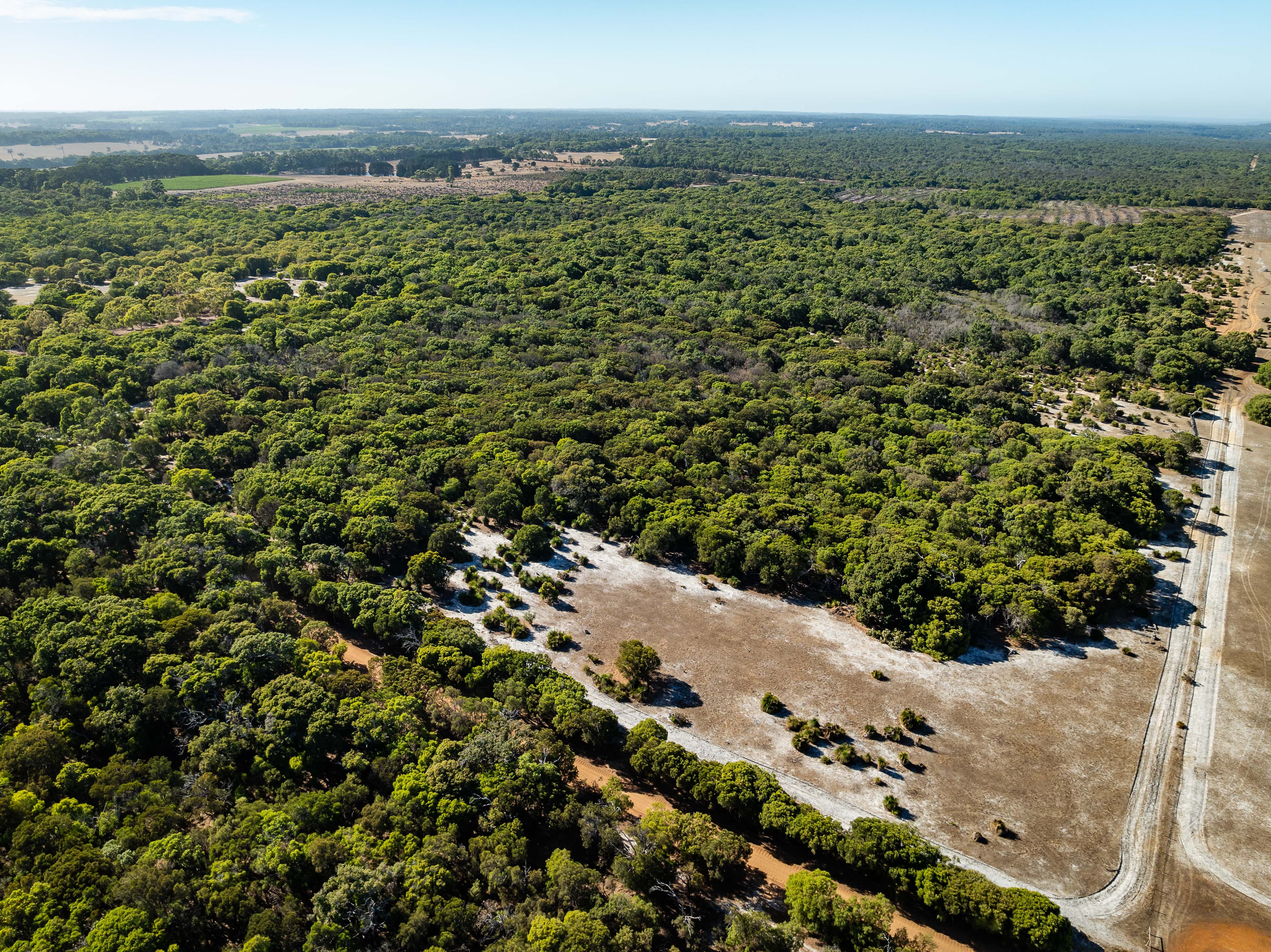 Lot 101 Wilyabrup Road, Wilyabrup, Wilyabrup - Thumbnail 6