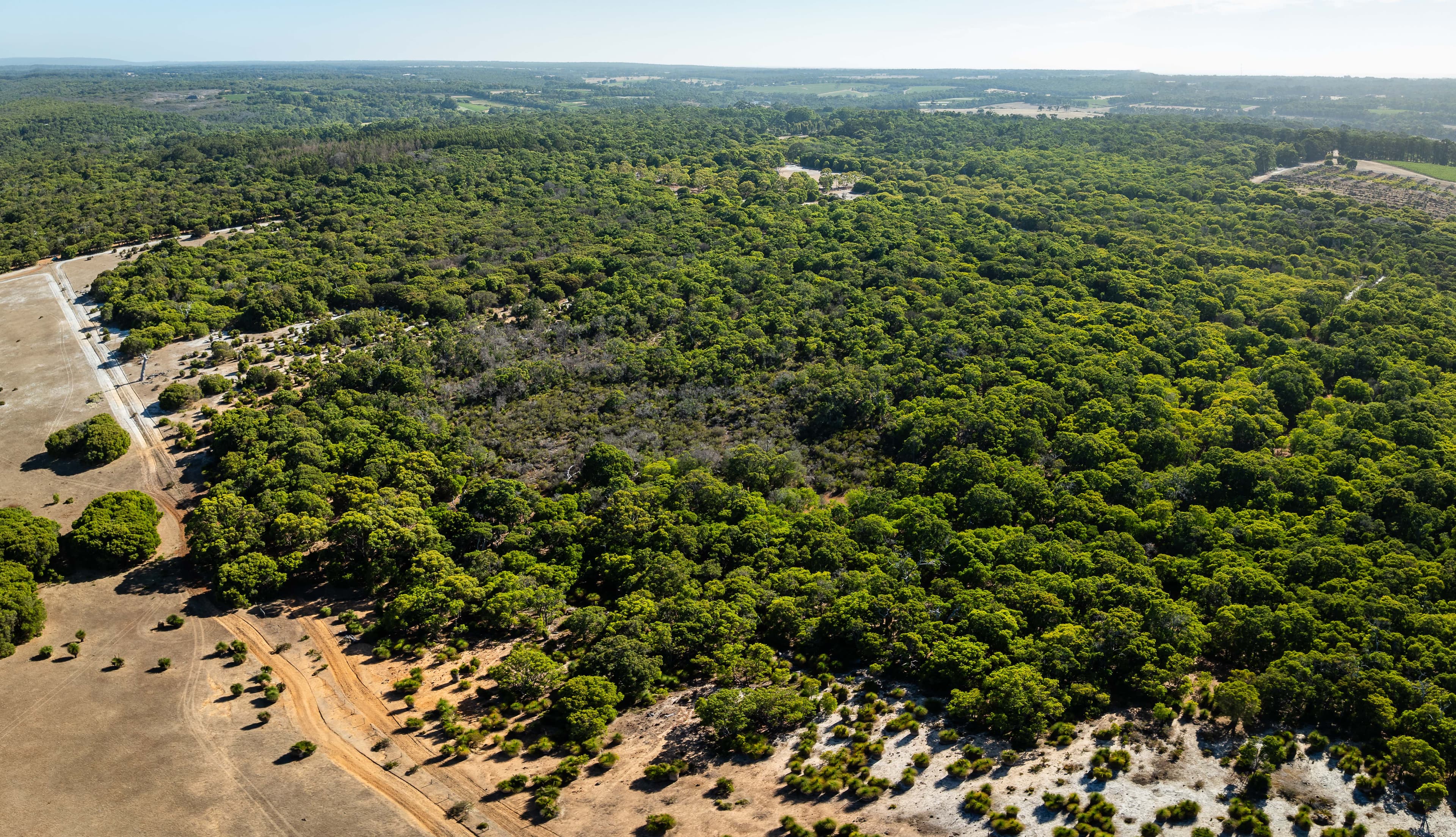 Lot 101 Wilyabrup Road, Wilyabrup, Wilyabrup - Thumbnail 7