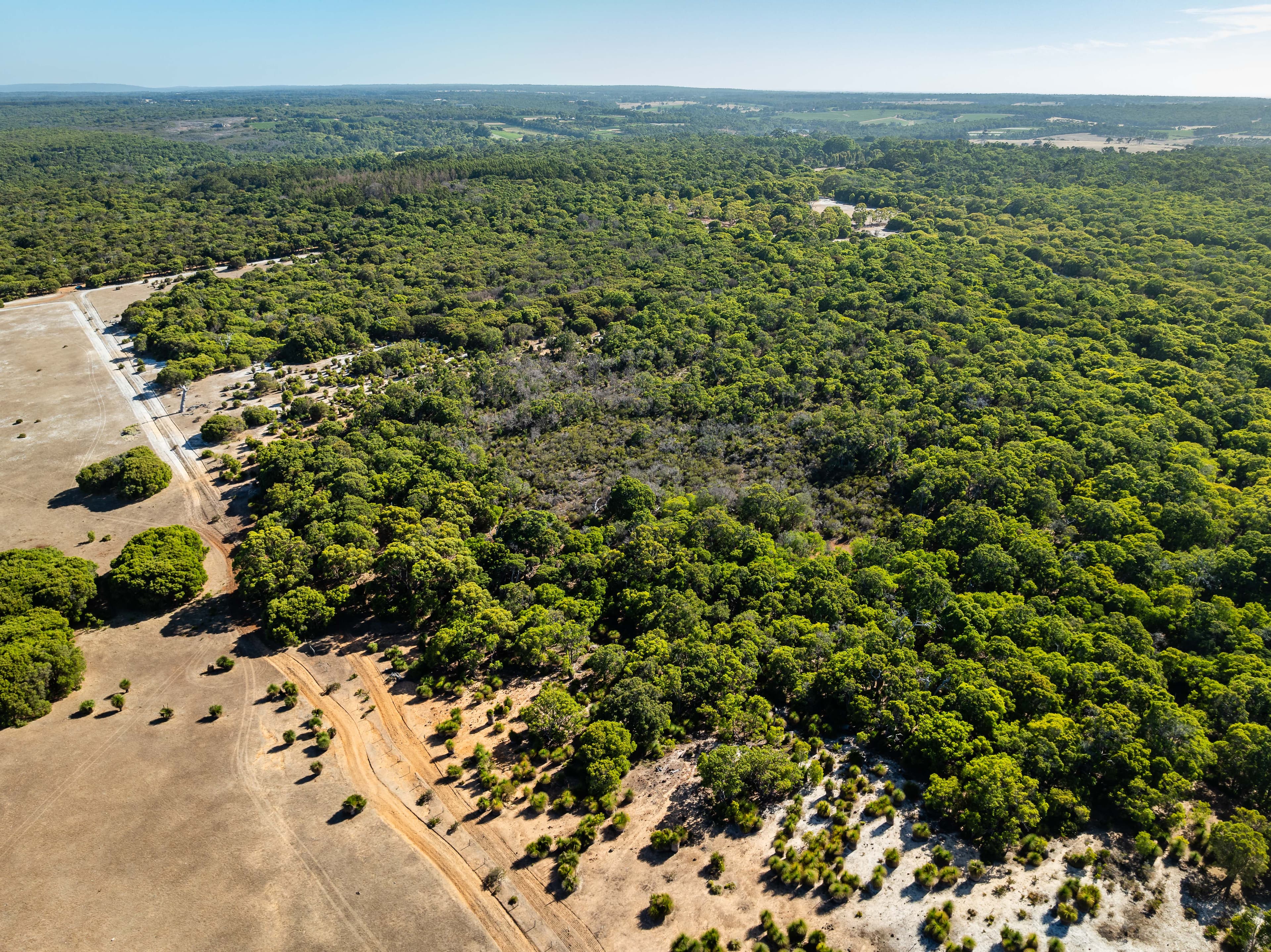 Lot 101 Wilyabrup Road, Wilyabrup, Wilyabrup - Thumbnail 8