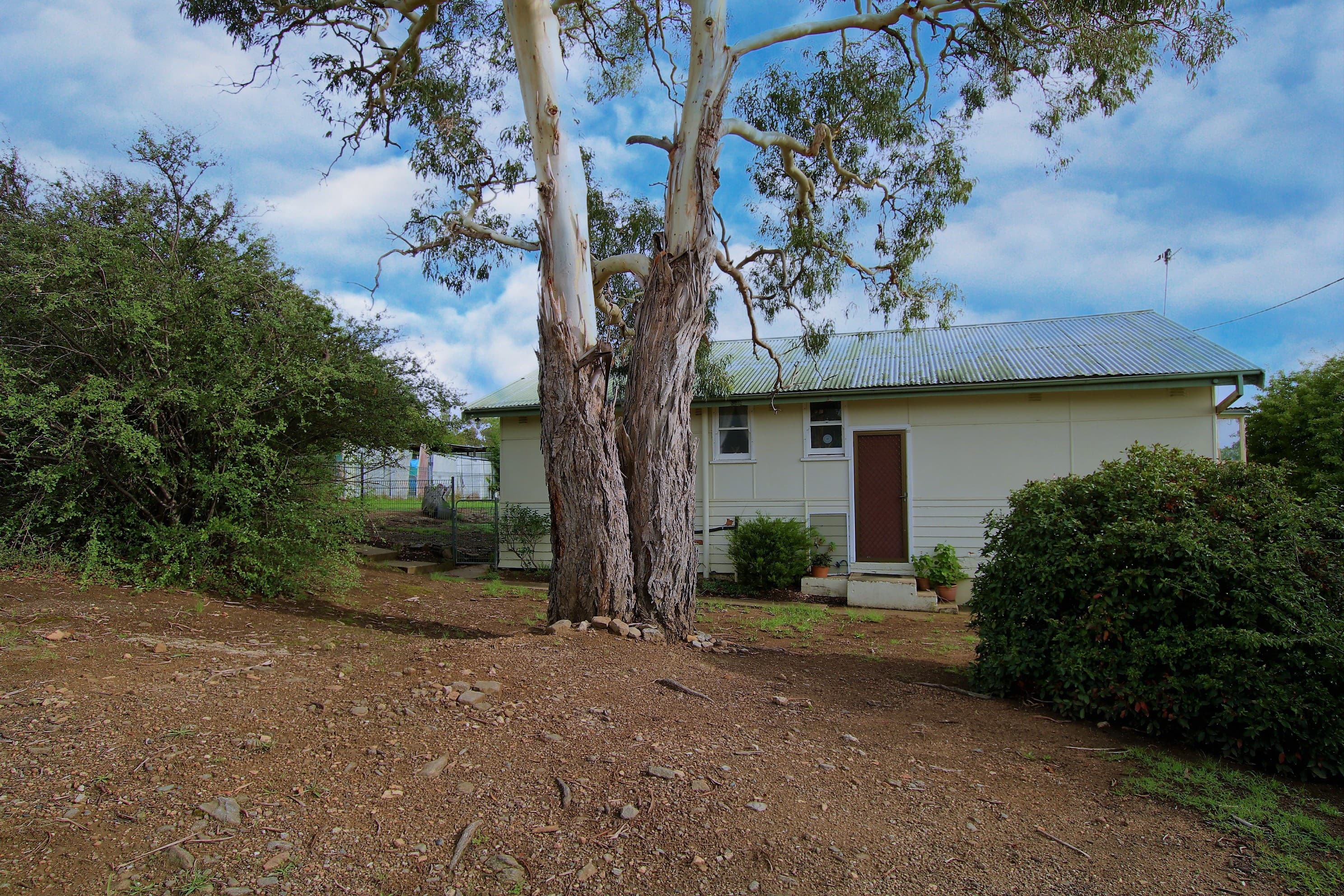 2 Babin Place, Cooma, Cooma - Thumbnail 5