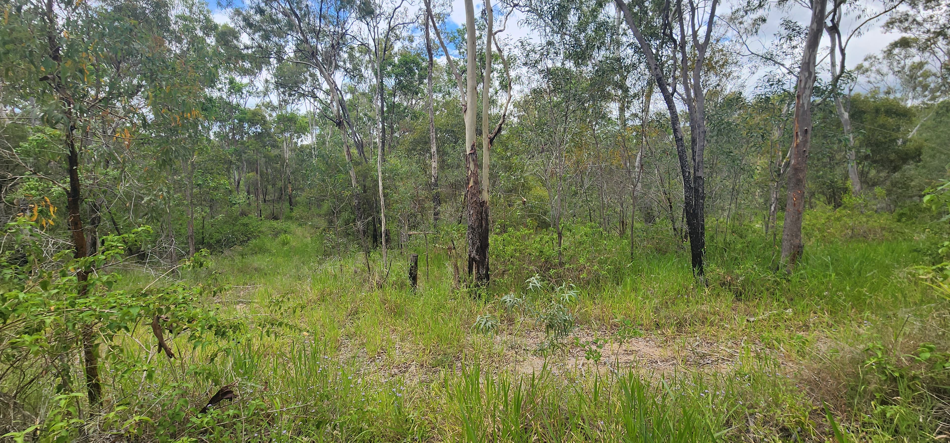 18 Jones Street, Moongan, Moongan - Thumbnail 5