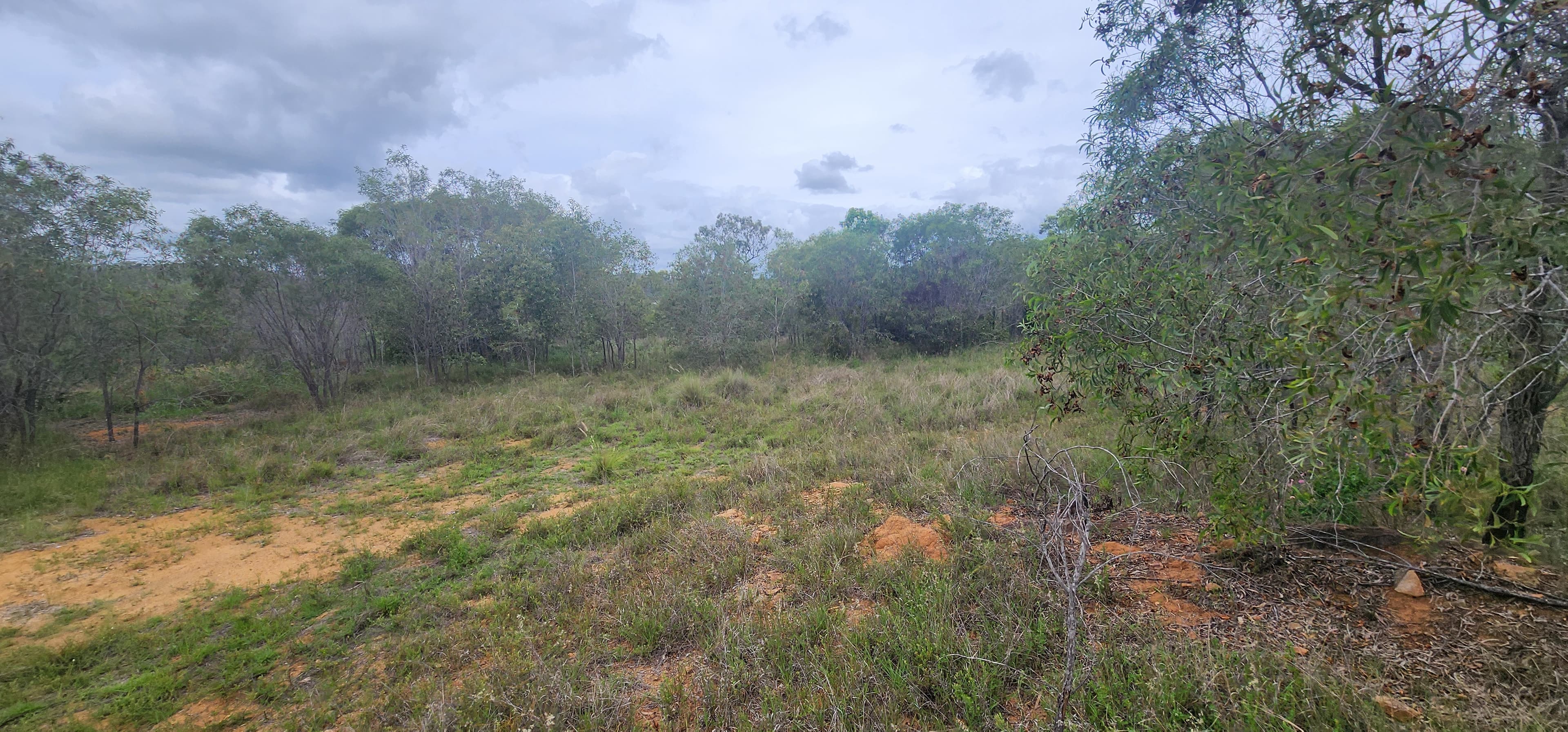 18 Jones Street, Moongan, Moongan - Thumbnail 3