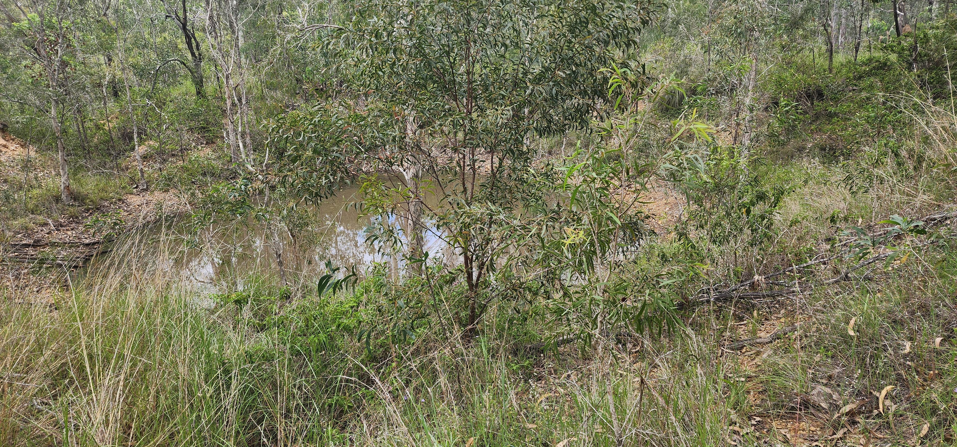 18 Jones Street, Moongan, Moongan - Thumbnail 8