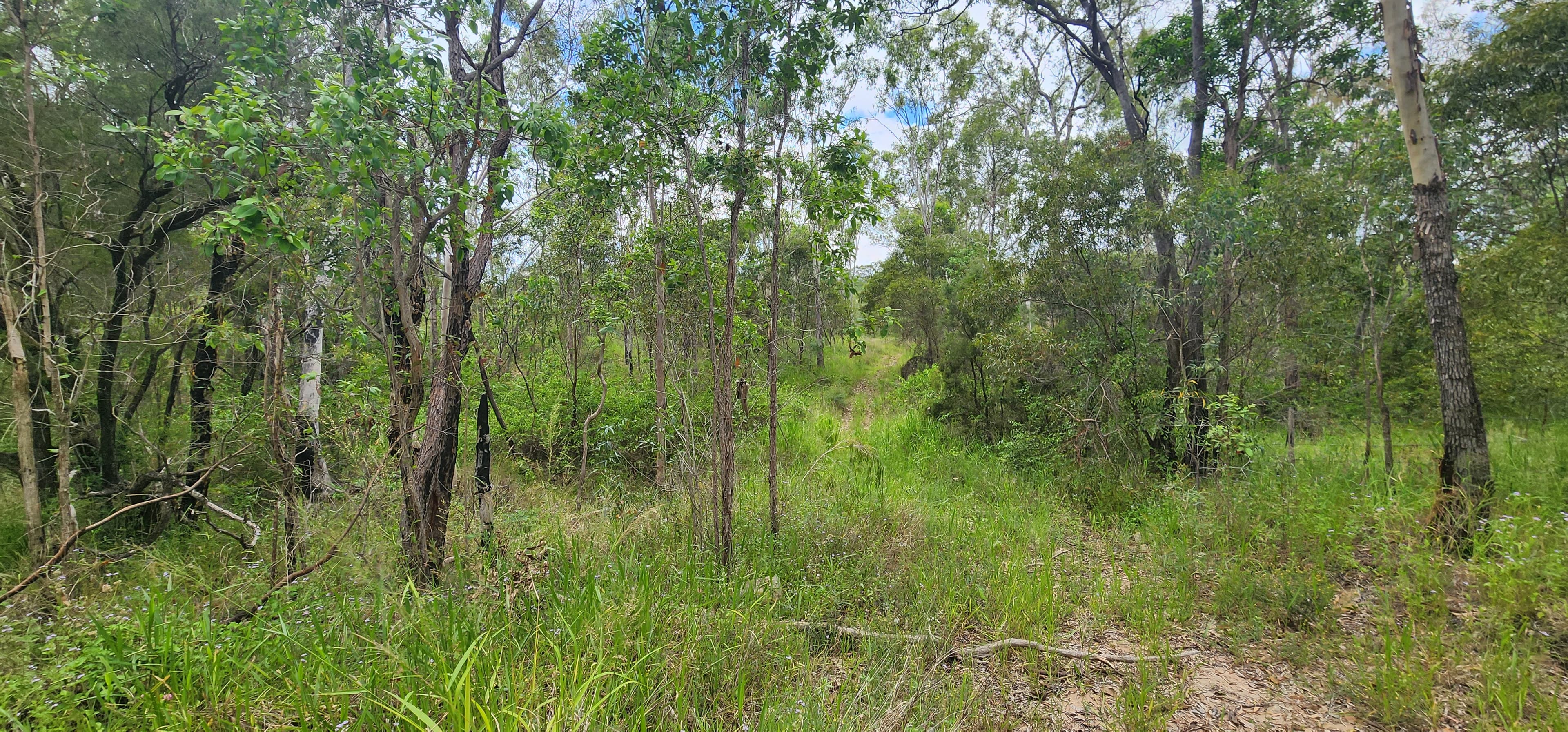 18 Jones Street, Moongan, Moongan - Thumbnail 7