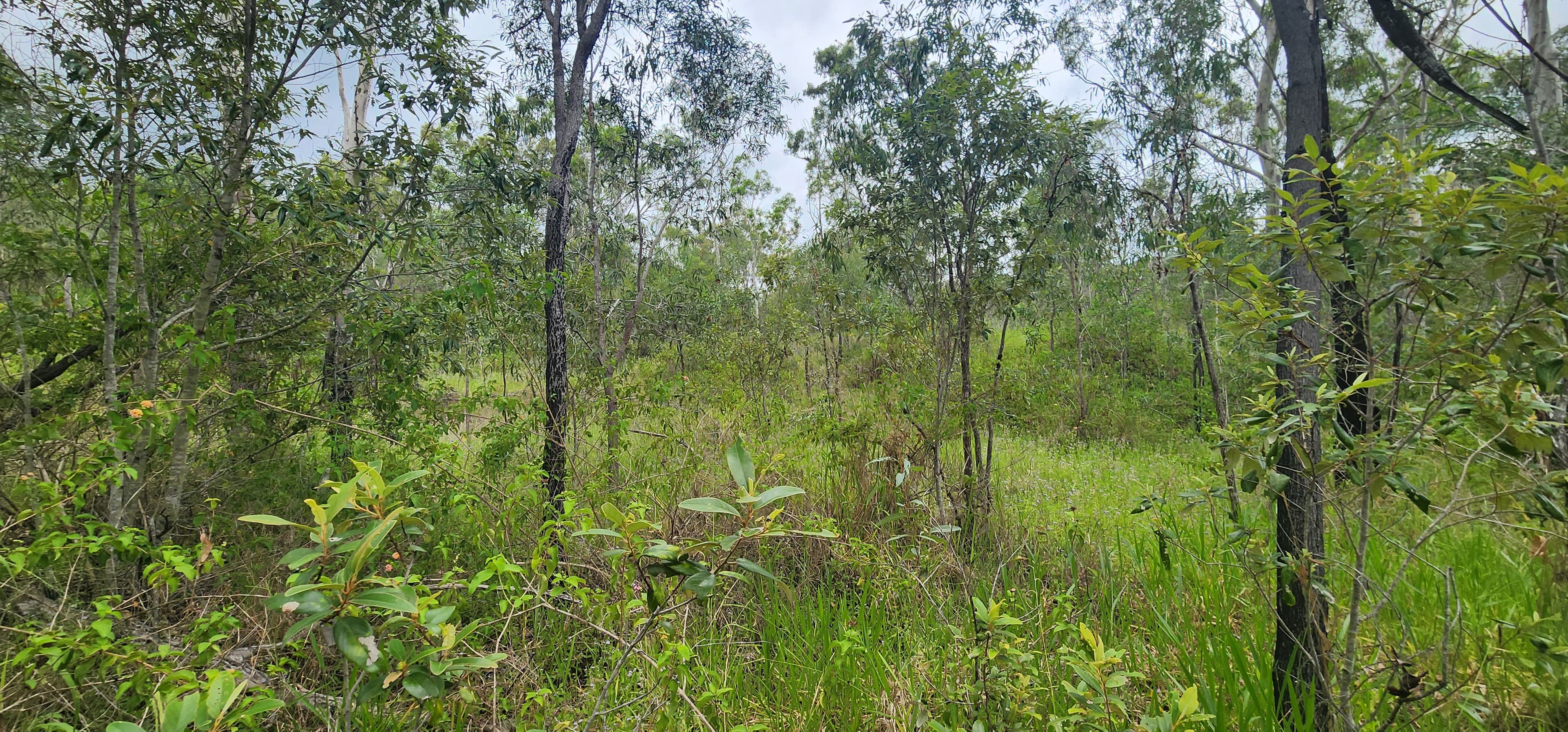 18 Jones Street, Moongan, Moongan - Thumbnail 6