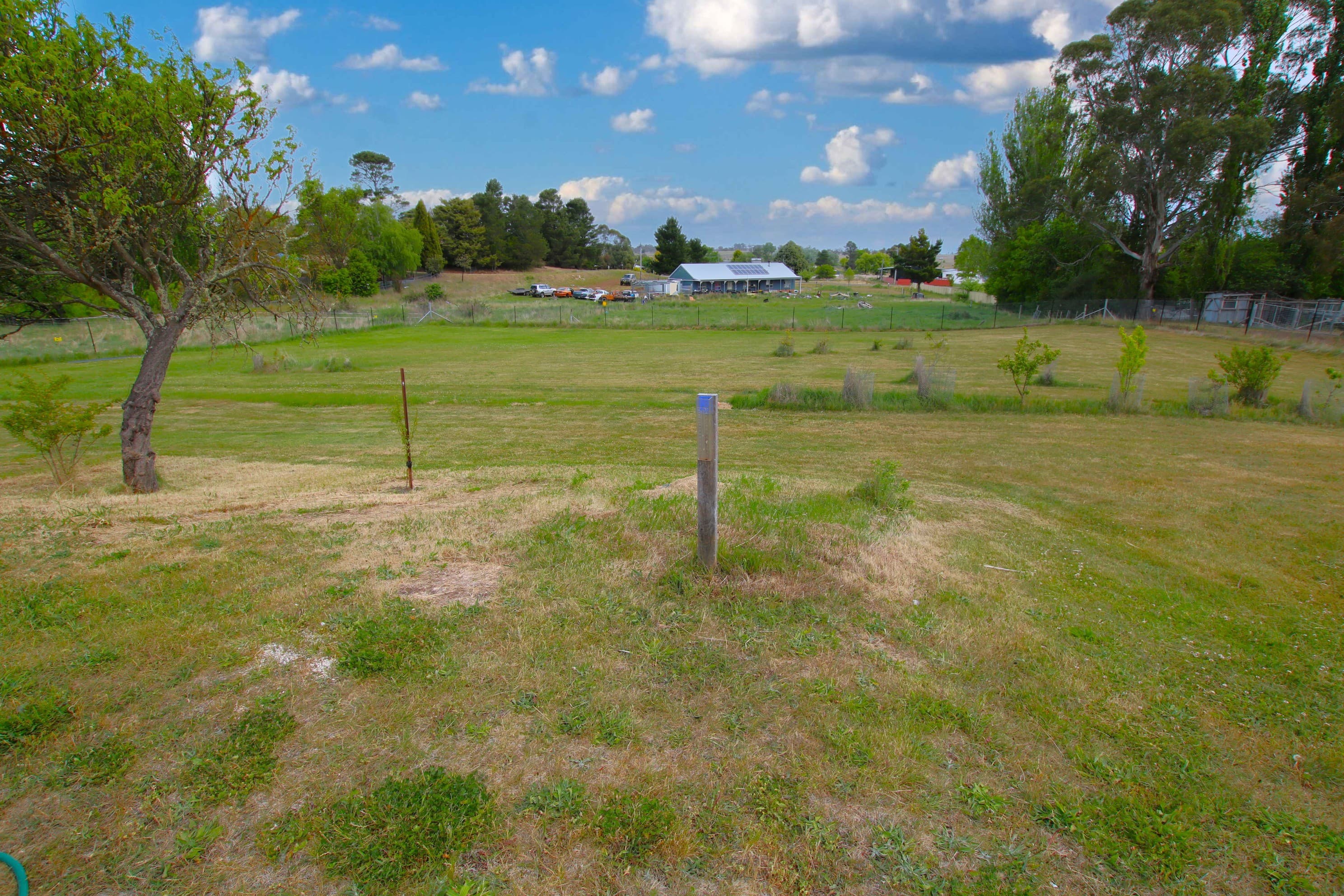 21 Clarke Street, Nimmitabel, Nimmitabel - Thumbnail 5