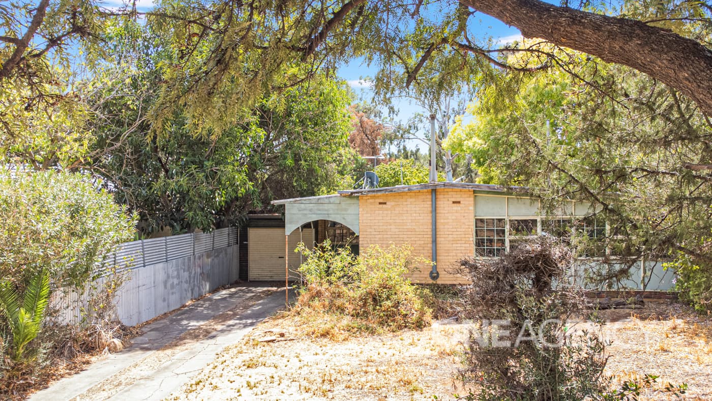 13 Portland Road, Elizabeth East, Elizabeth East - Thumbnail 4