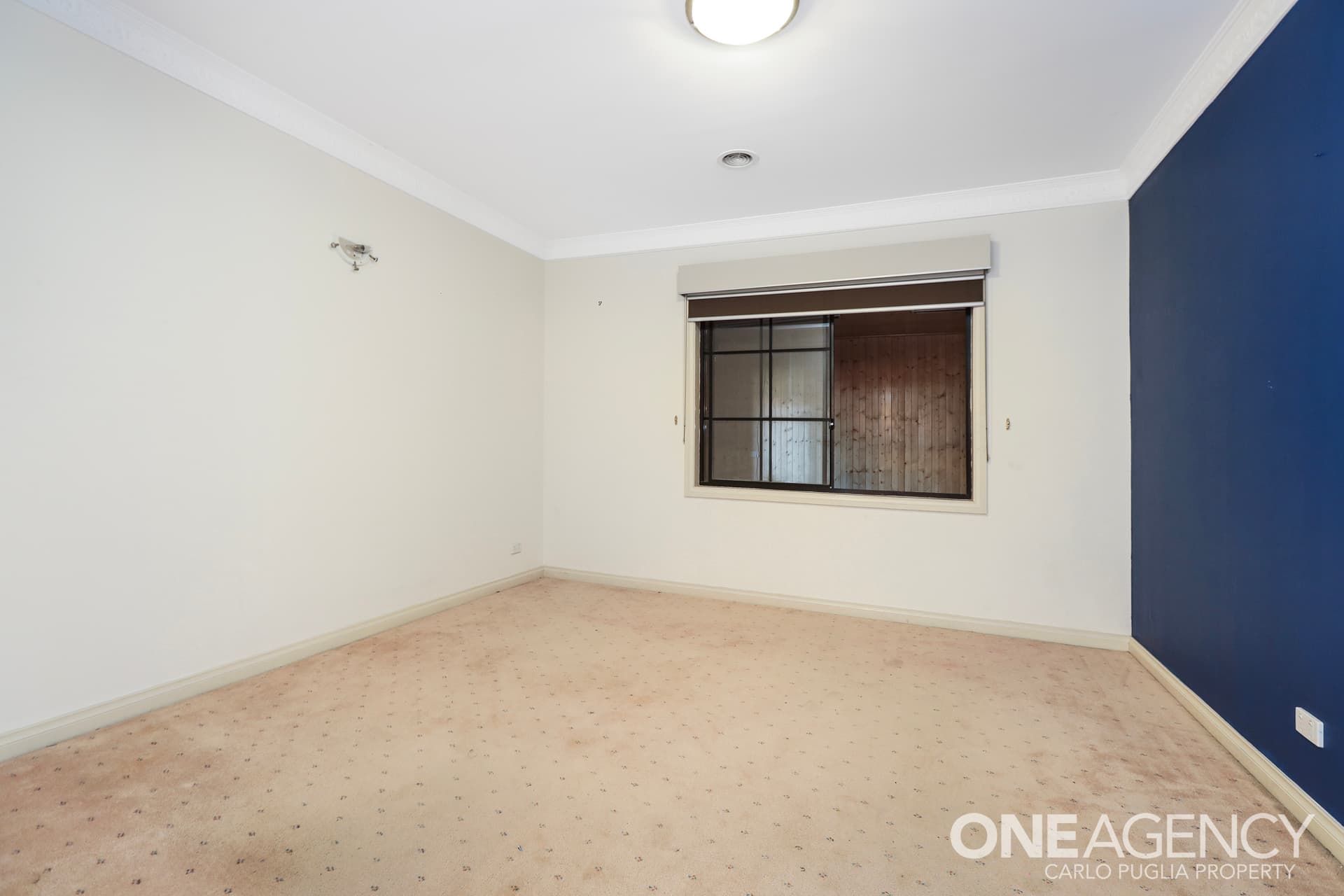 11 Taniyha Place, Sunshine North, Sunshine North - Thumbnail 3