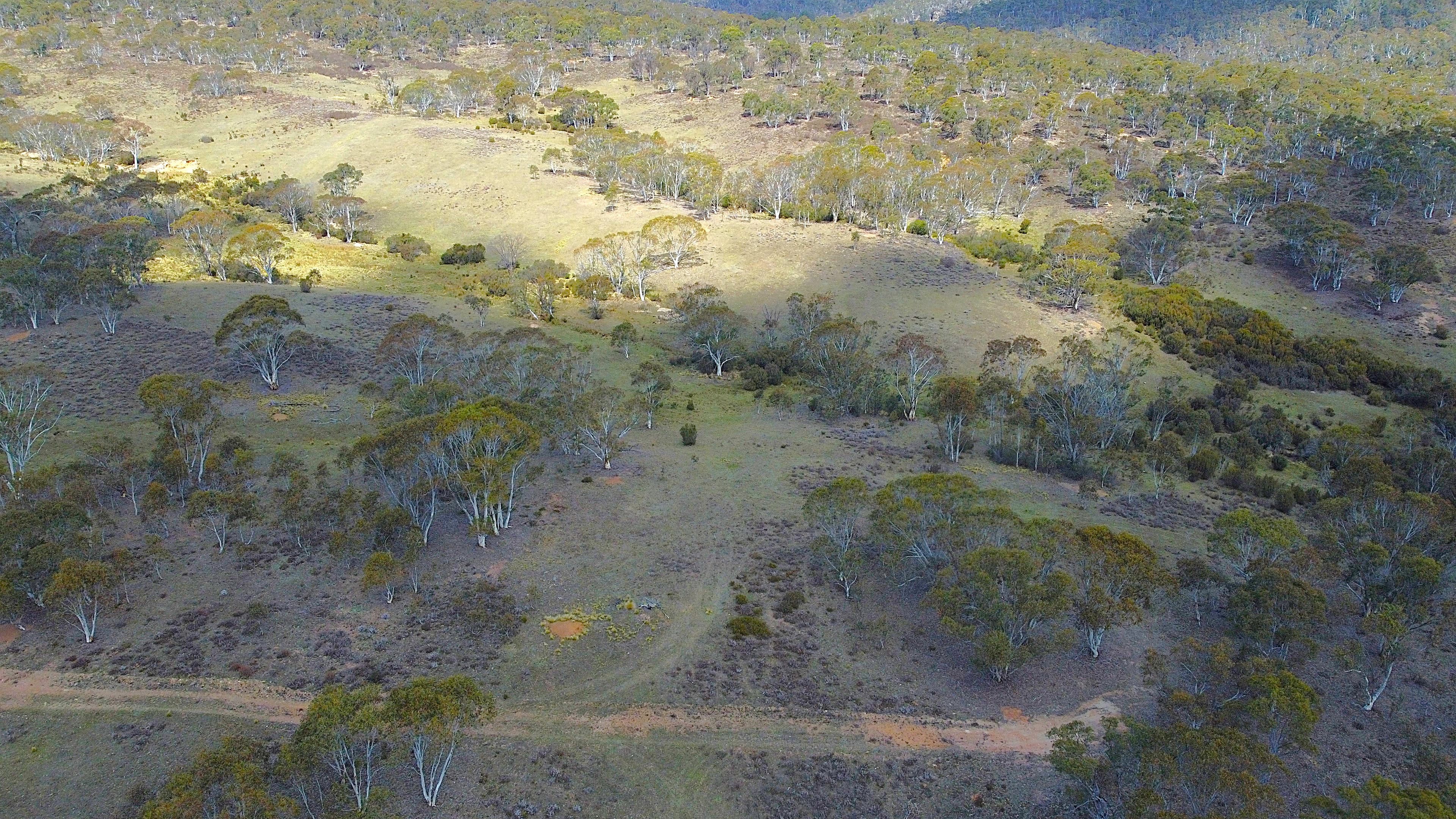 Lot 84 Parkers Road, Peak View, Peak View - Thumbnail 2