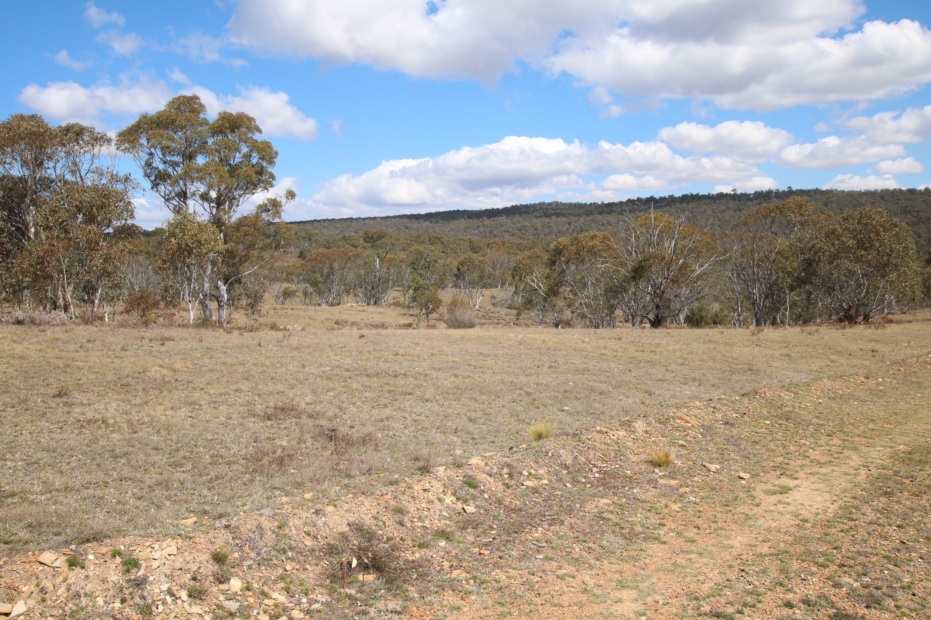 Lot 84 Parkers Road, Peak View, Peak View - Thumbnail 3