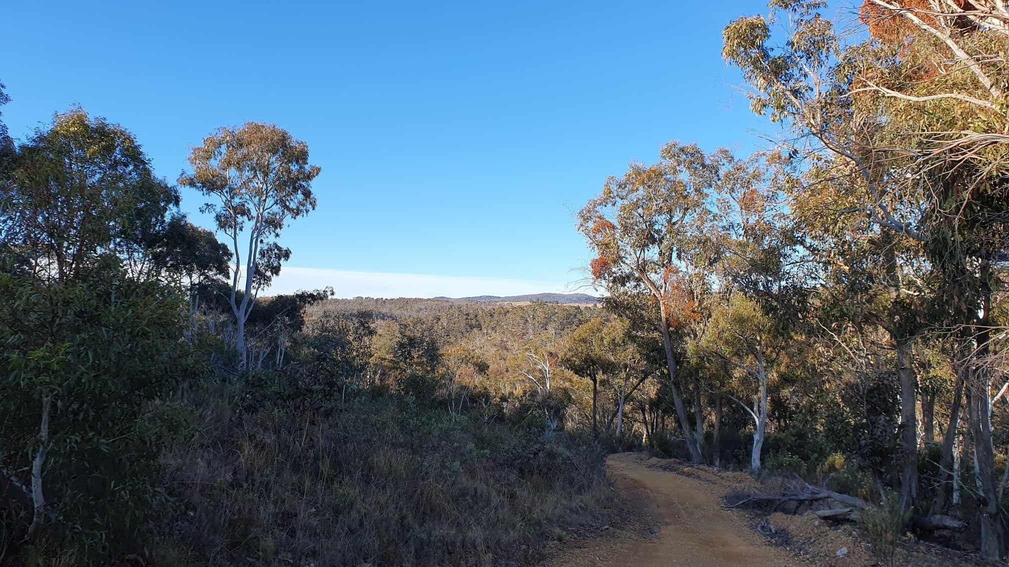 Lot 84 Parkers Road, Peak View, Peak View - Thumbnail 4