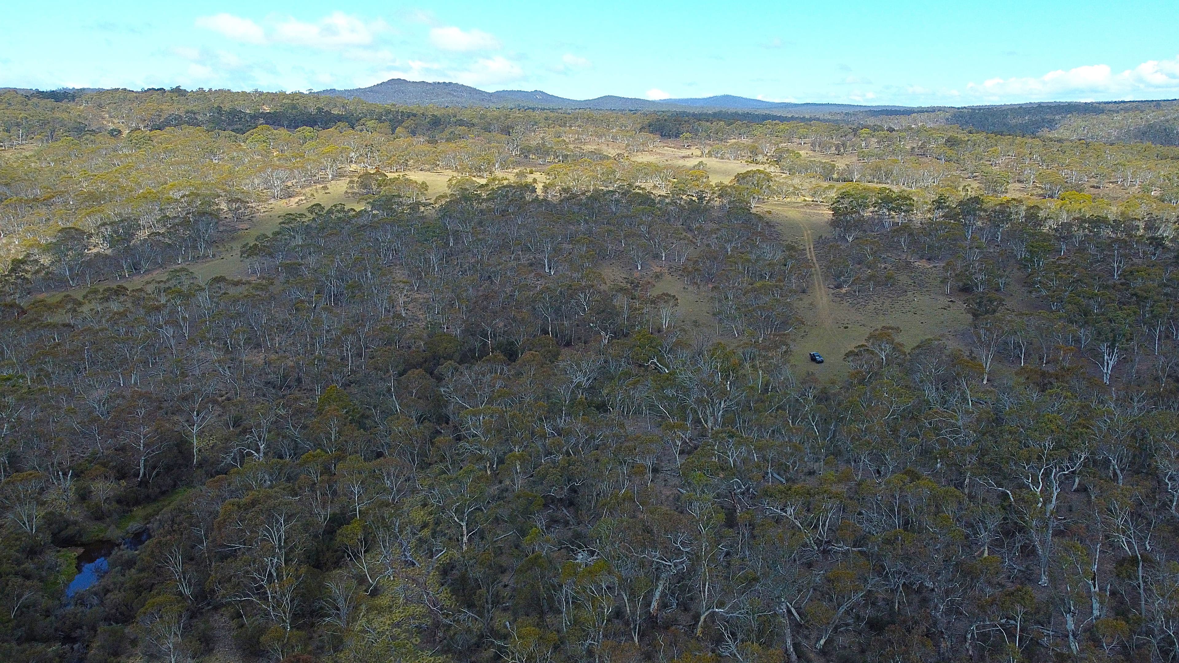 Lot 84 Parkers Road, Peak View, Peak View - Thumbnail 6