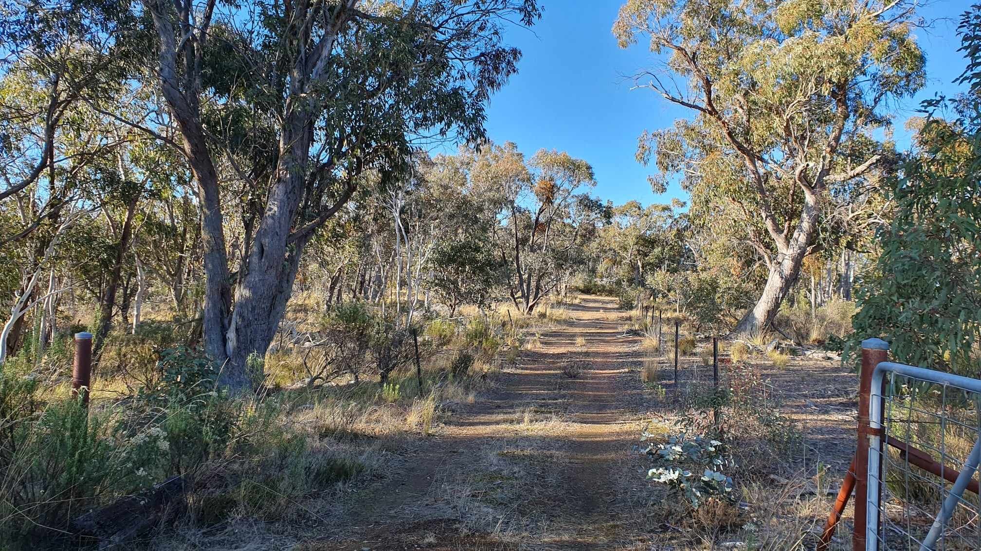 Lot 84 Parkers Road, Peak View, Peak View - Thumbnail 7