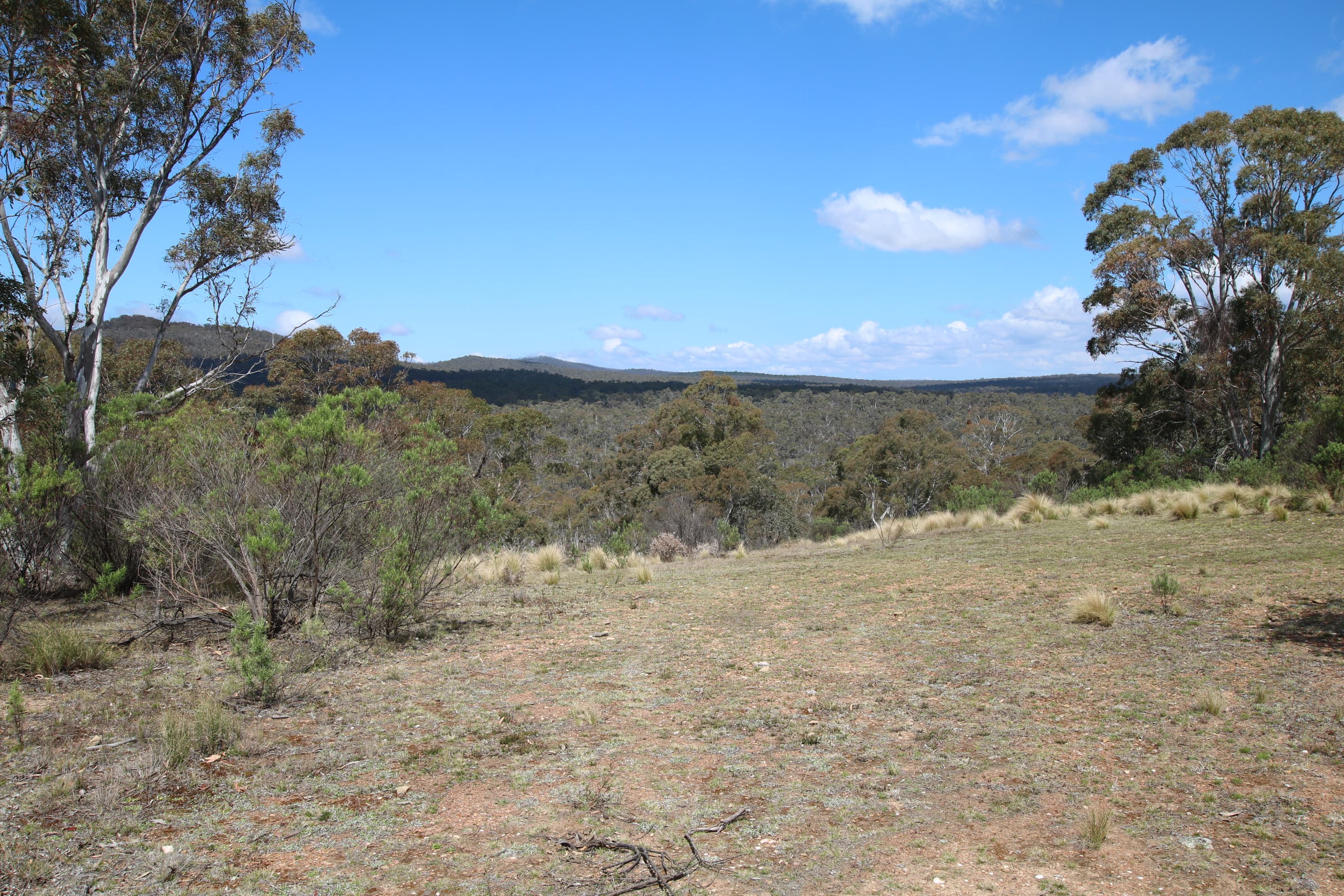 Lot 84 Parkers Road, Peak View, Peak View - Thumbnail 8