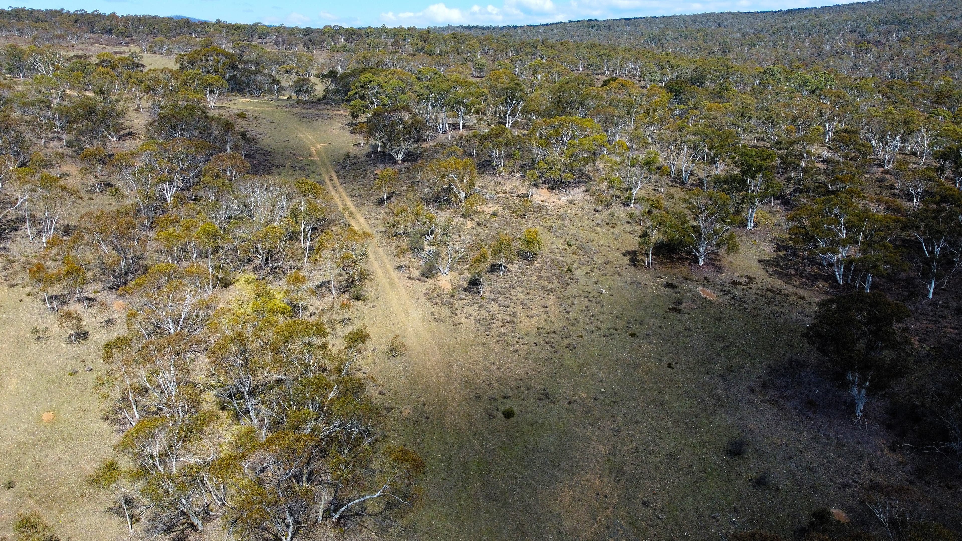 Lot 84 Parkers Road, Peak View, Peak View - Image 1