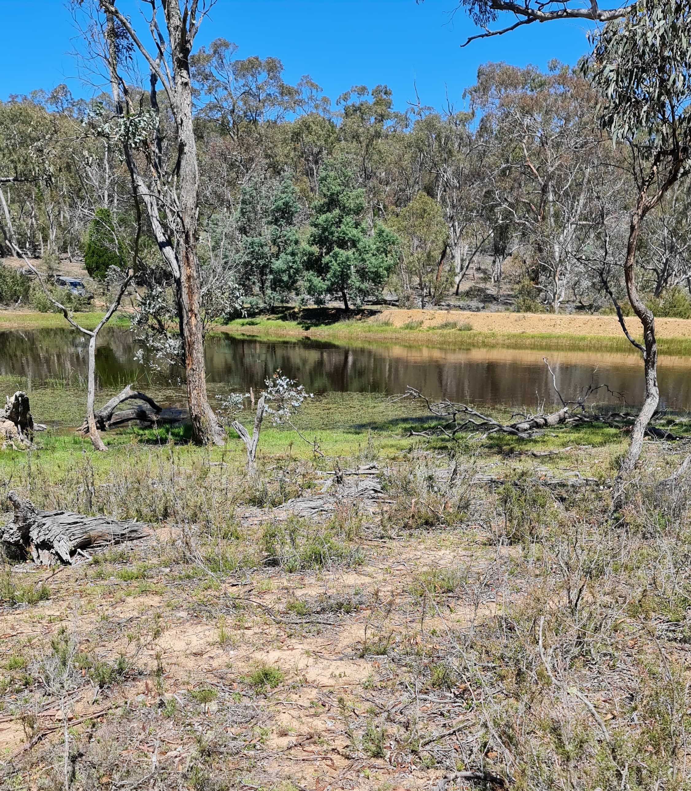 Lot 34  Palarang Road, Merriangaah, Merriangaah - Thumbnail 3