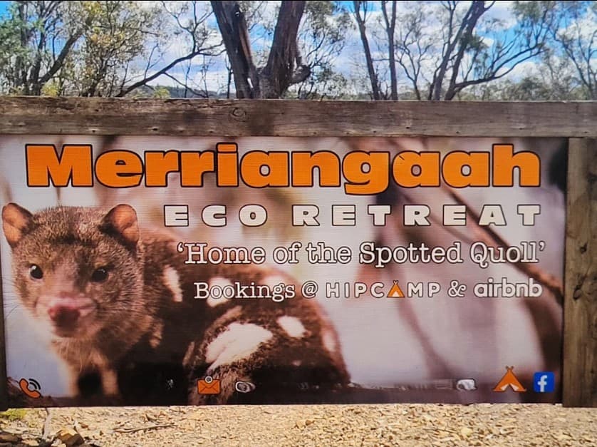 Lot 34  Palarang Road, Merriangaah, Merriangaah - Thumbnail 4