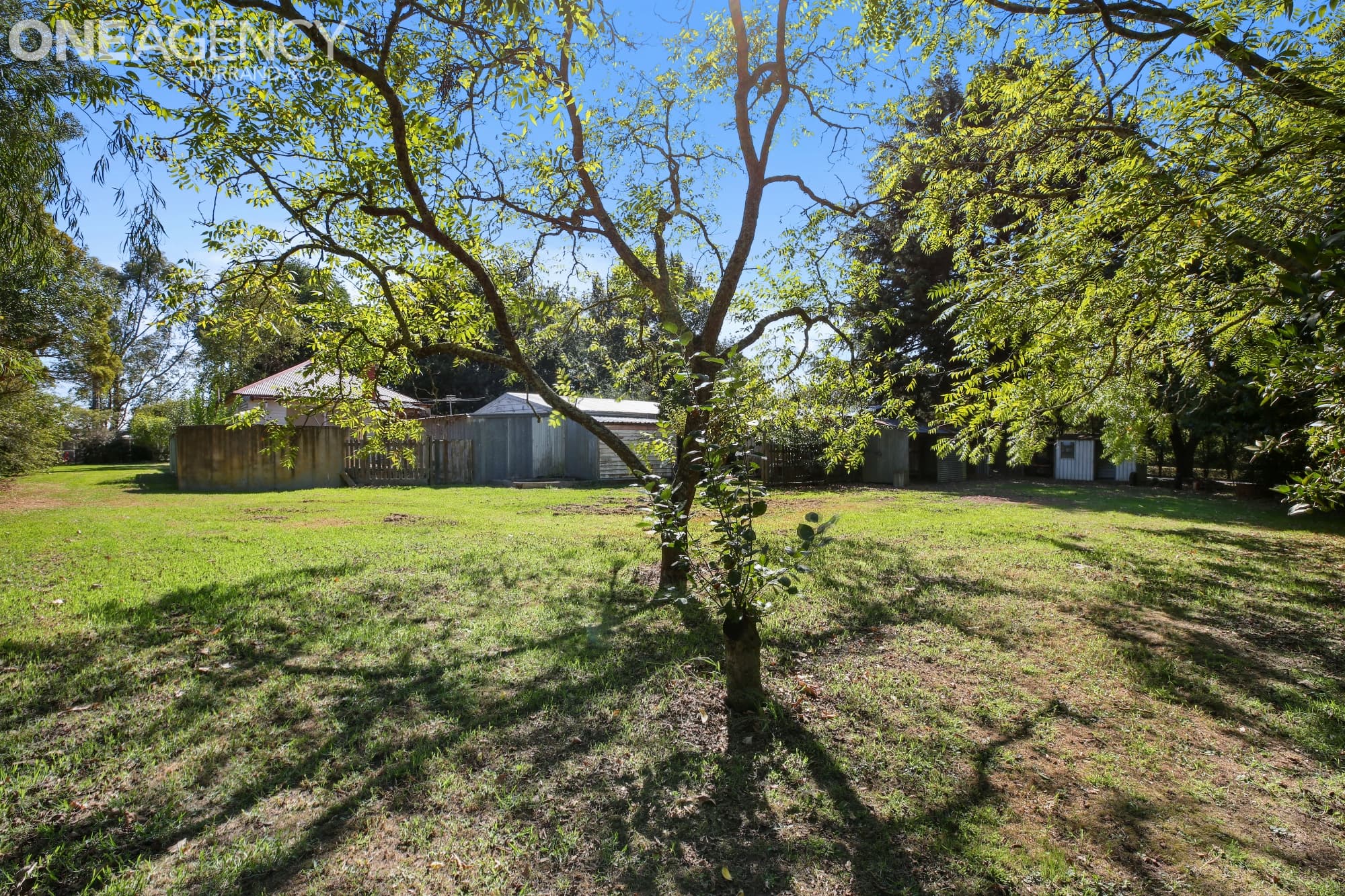 170 Armours Road, Warragul, Warragul - Thumbnail 8
