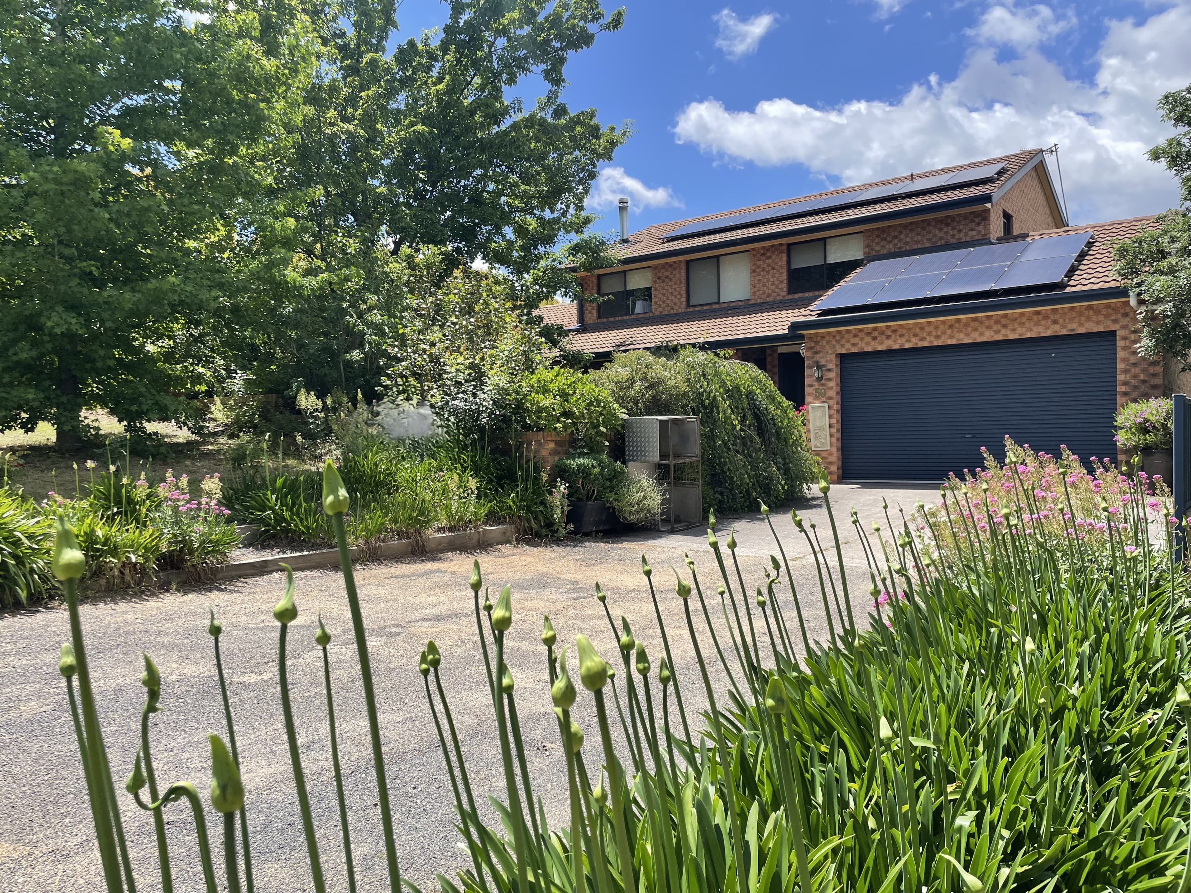 50 Queen Street, Bombala, Bombala - Thumbnail 2