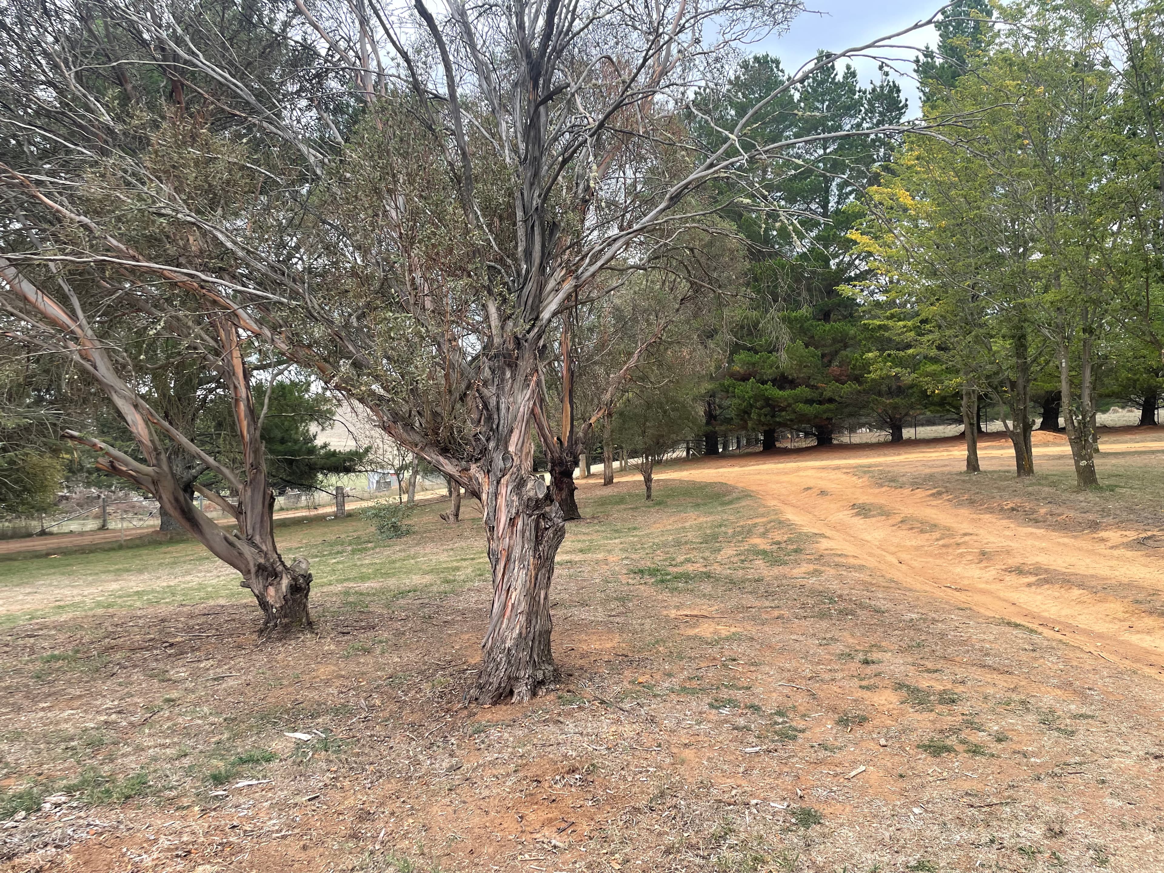 467 Caddigat Road, Dry Plain, Dry Plain - Thumbnail 6
