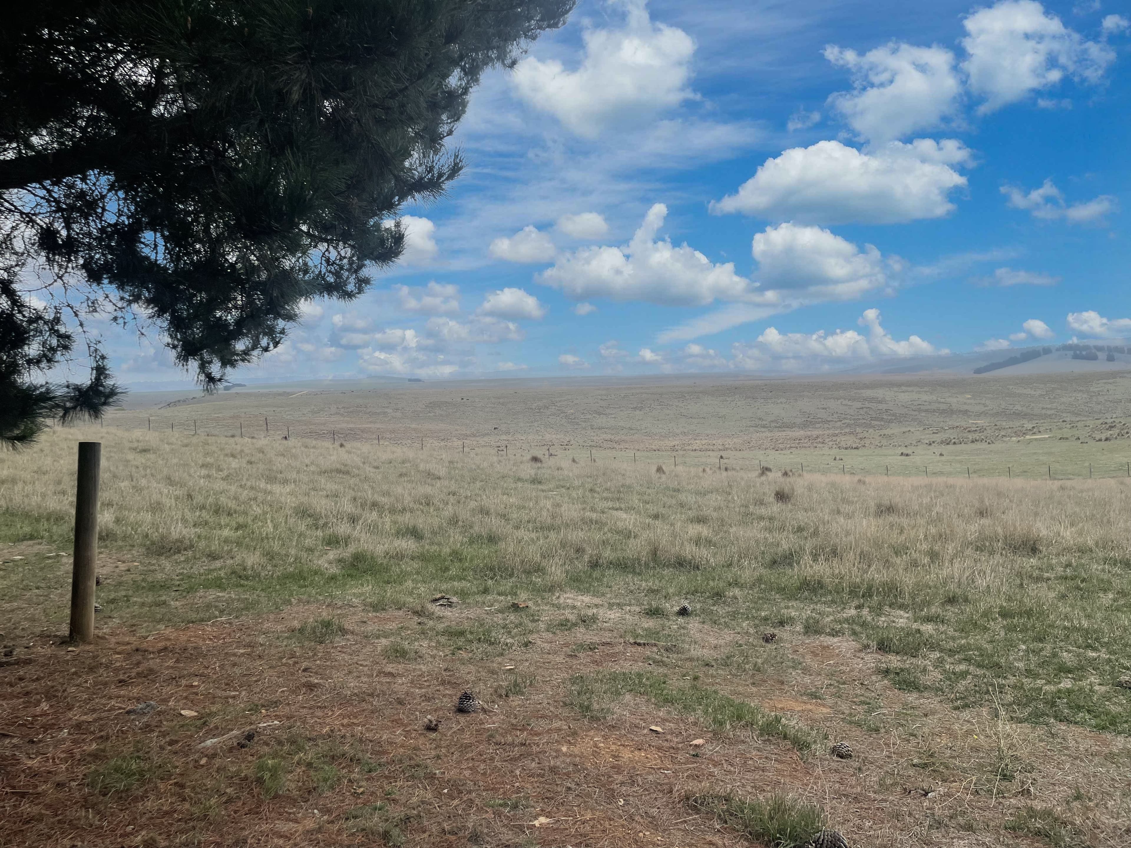 467 Caddigat Road, Dry Plain, Dry Plain - Thumbnail 7