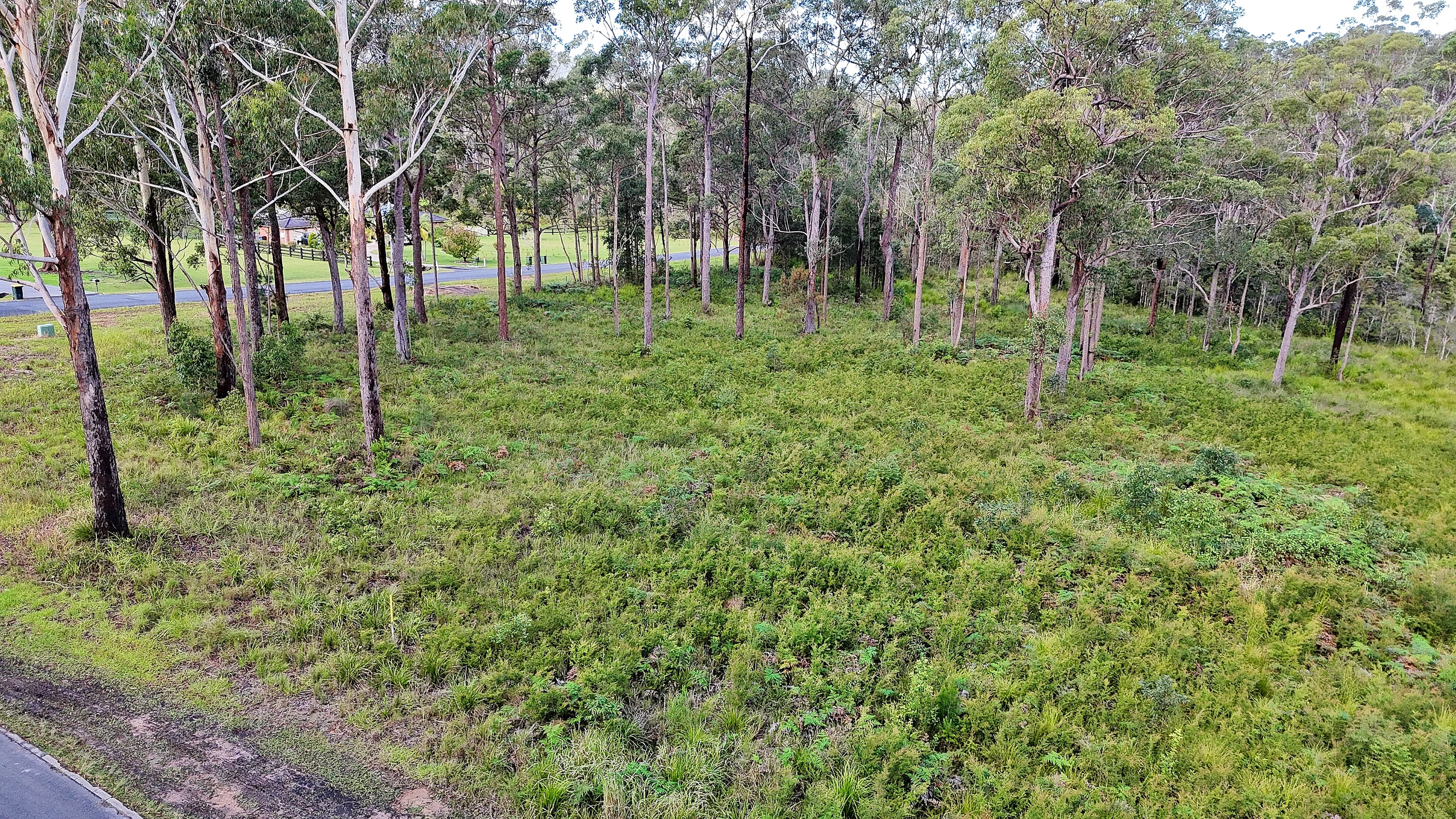 3 Lake Ridge Drive, Kew, Kew - Thumbnail 5