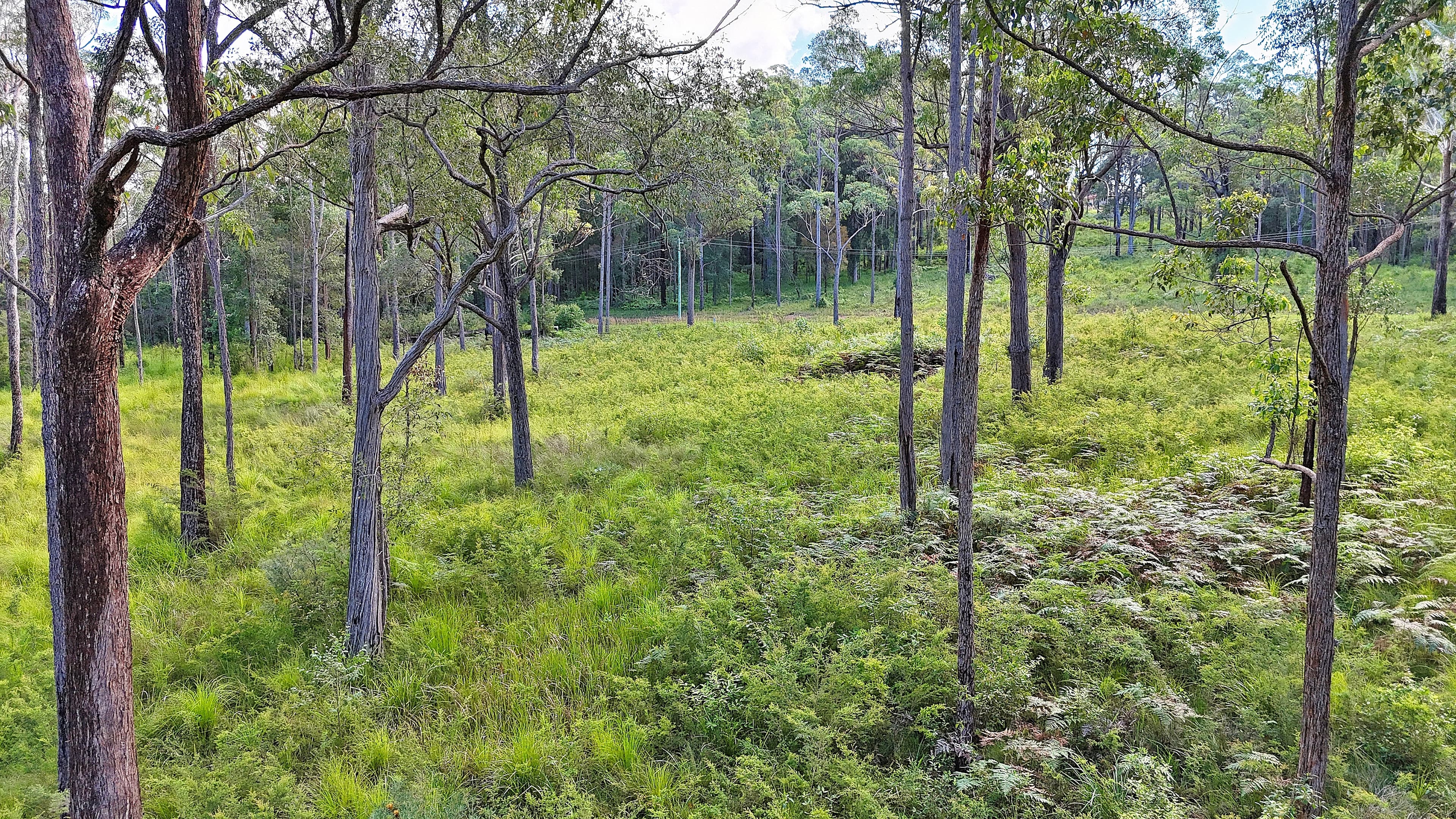 3 Lake Ridge Drive, Kew, Kew - Thumbnail 7