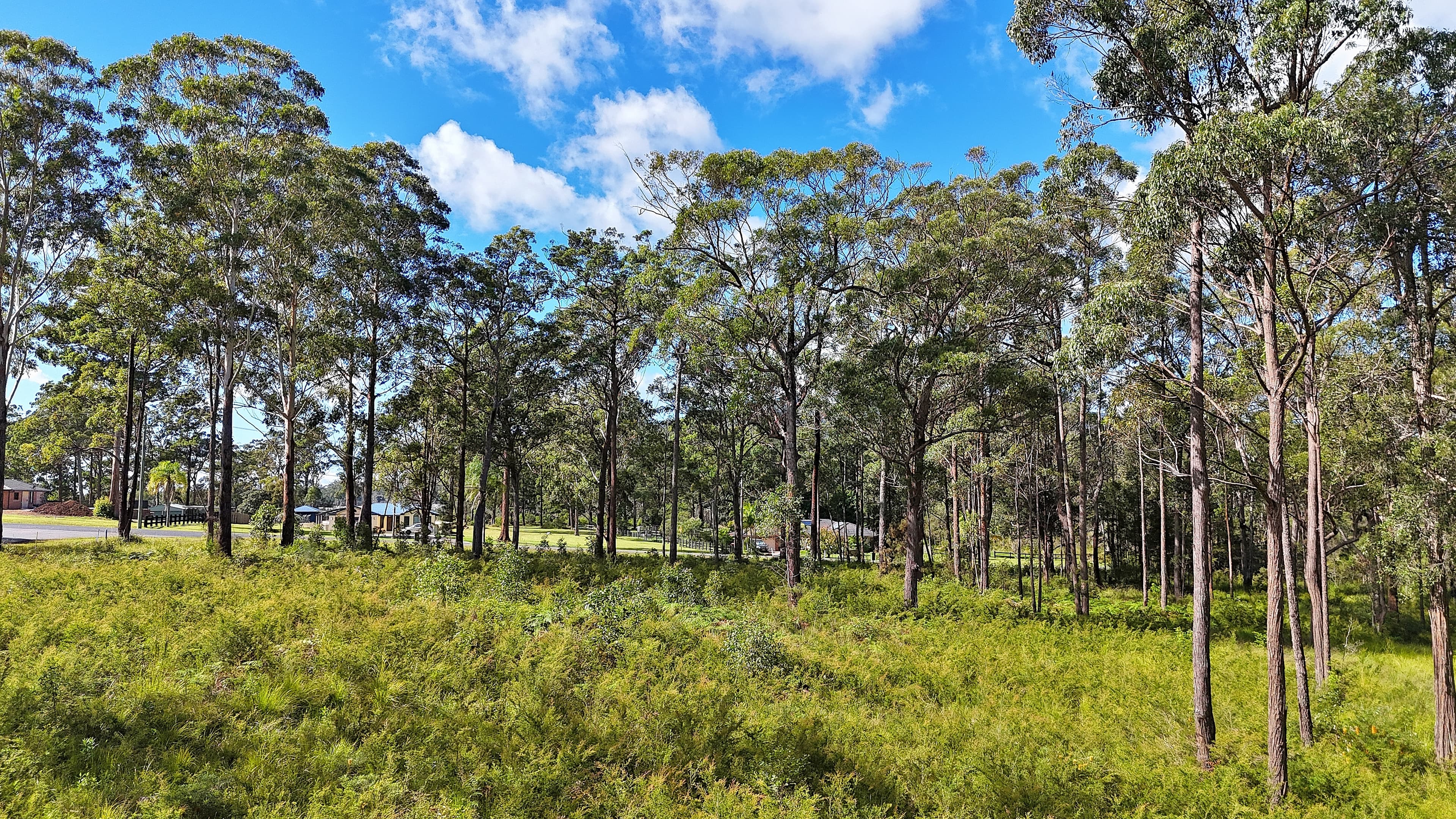 3 Lake Ridge Drive, Kew, Kew - Thumbnail 8