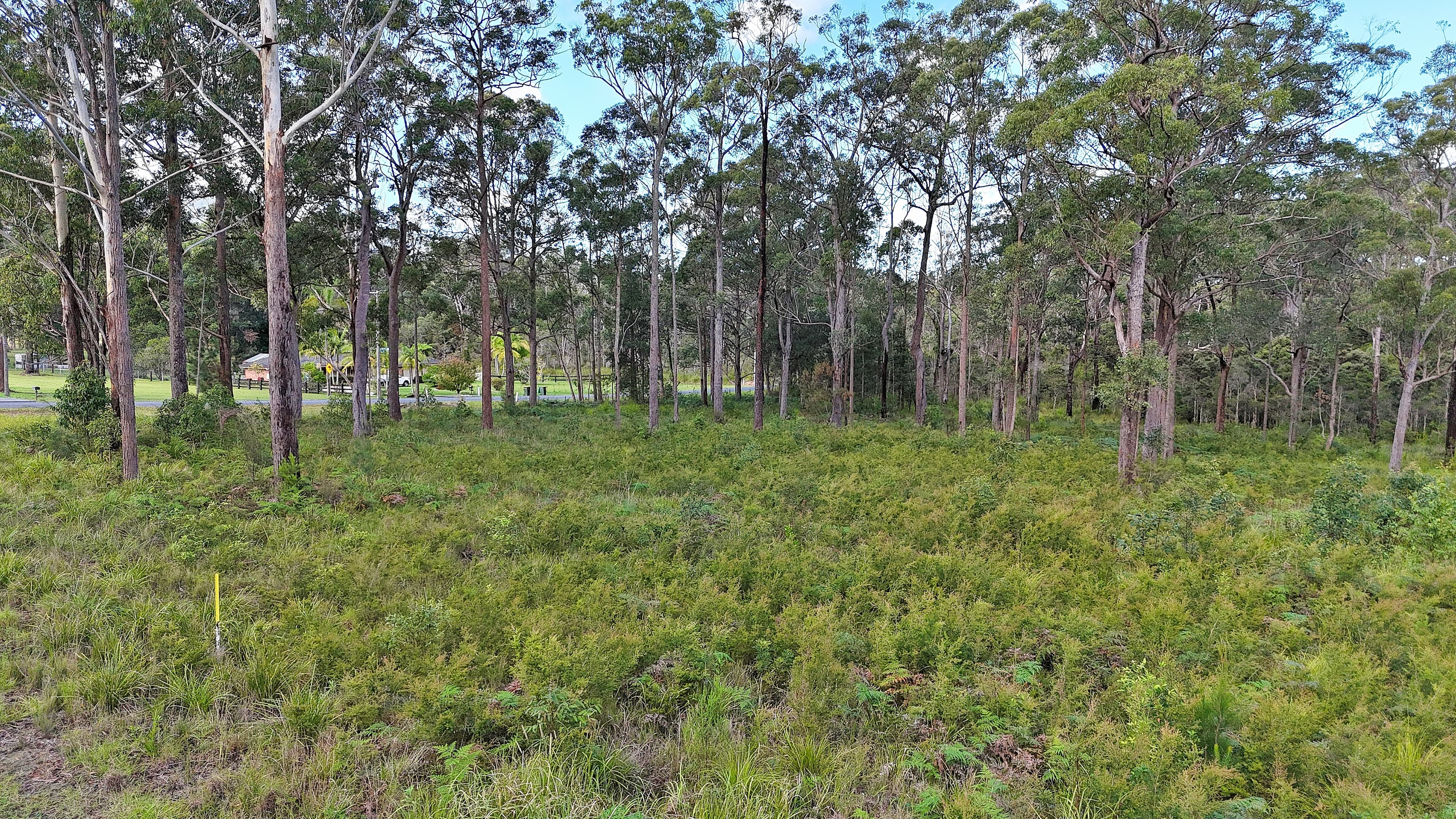 3 Lake Ridge Drive, Kew, Kew - Thumbnail 6