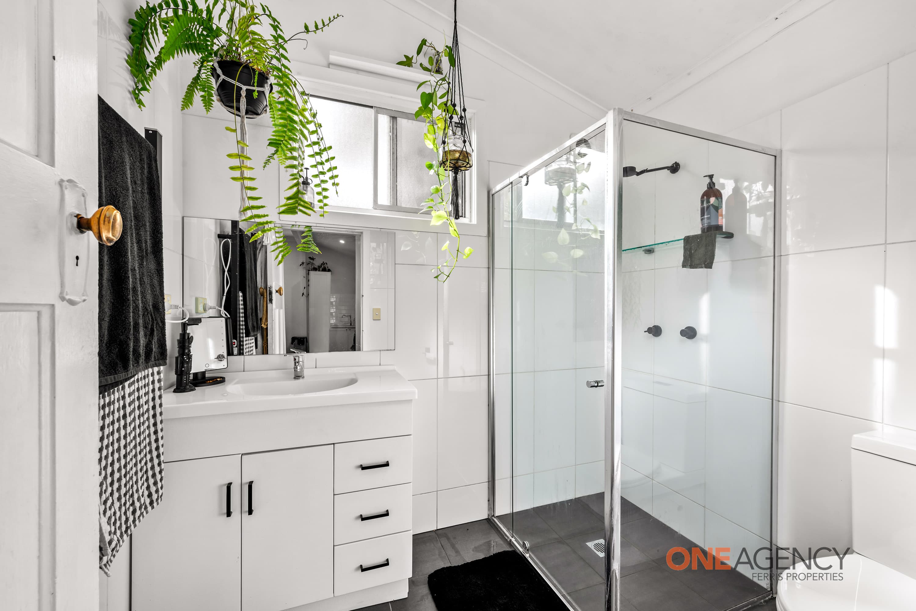 48 Roe Street, Mayfield, Mayfield - Thumbnail 3