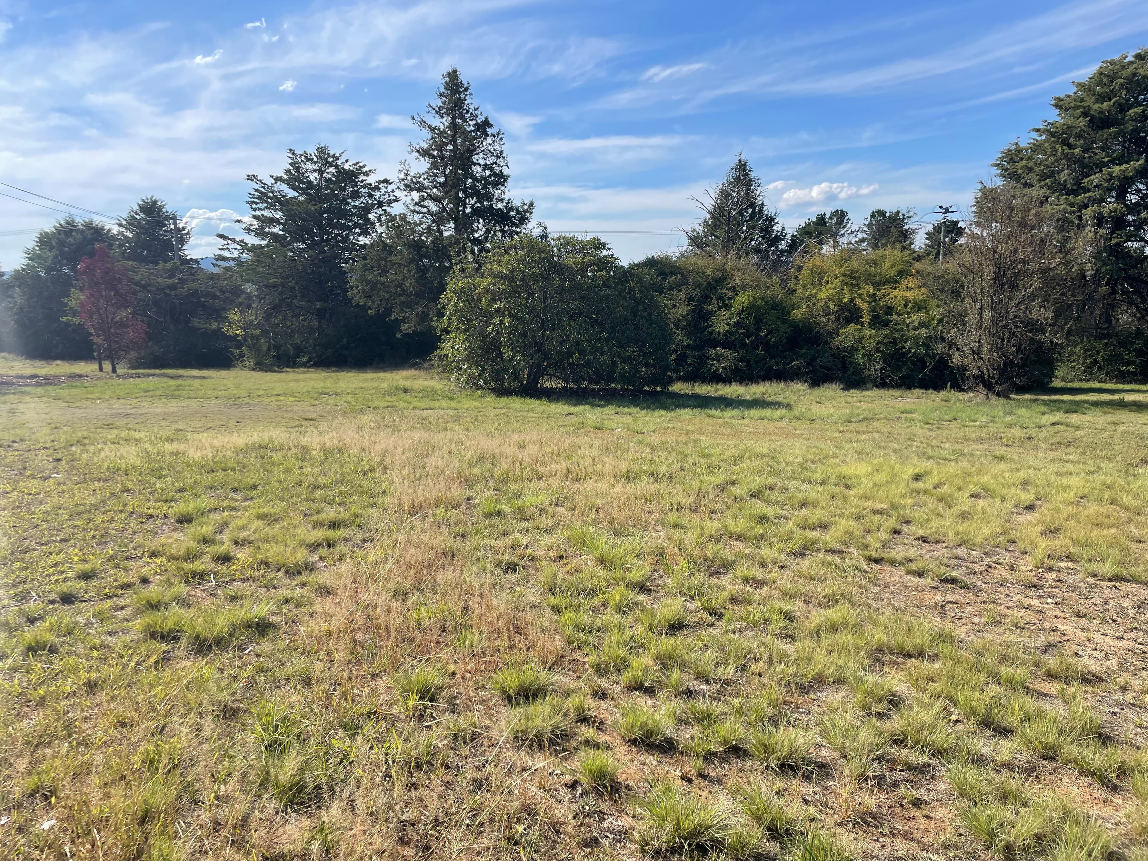 66 Wangie Street, Cooma, Cooma - Thumbnail 7