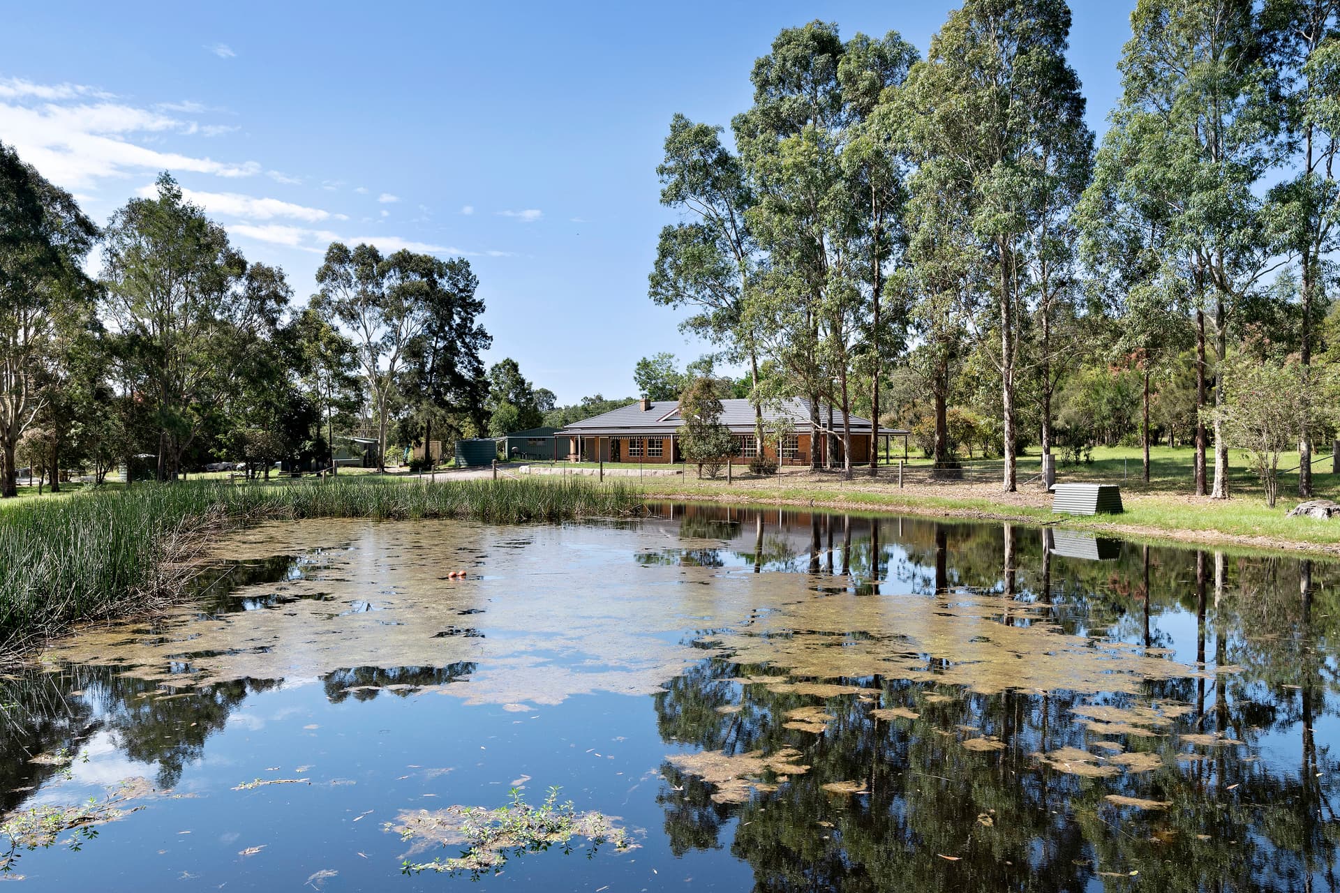 1494 Paterson Road, Duns Creek, Duns Creek - Thumbnail 2
