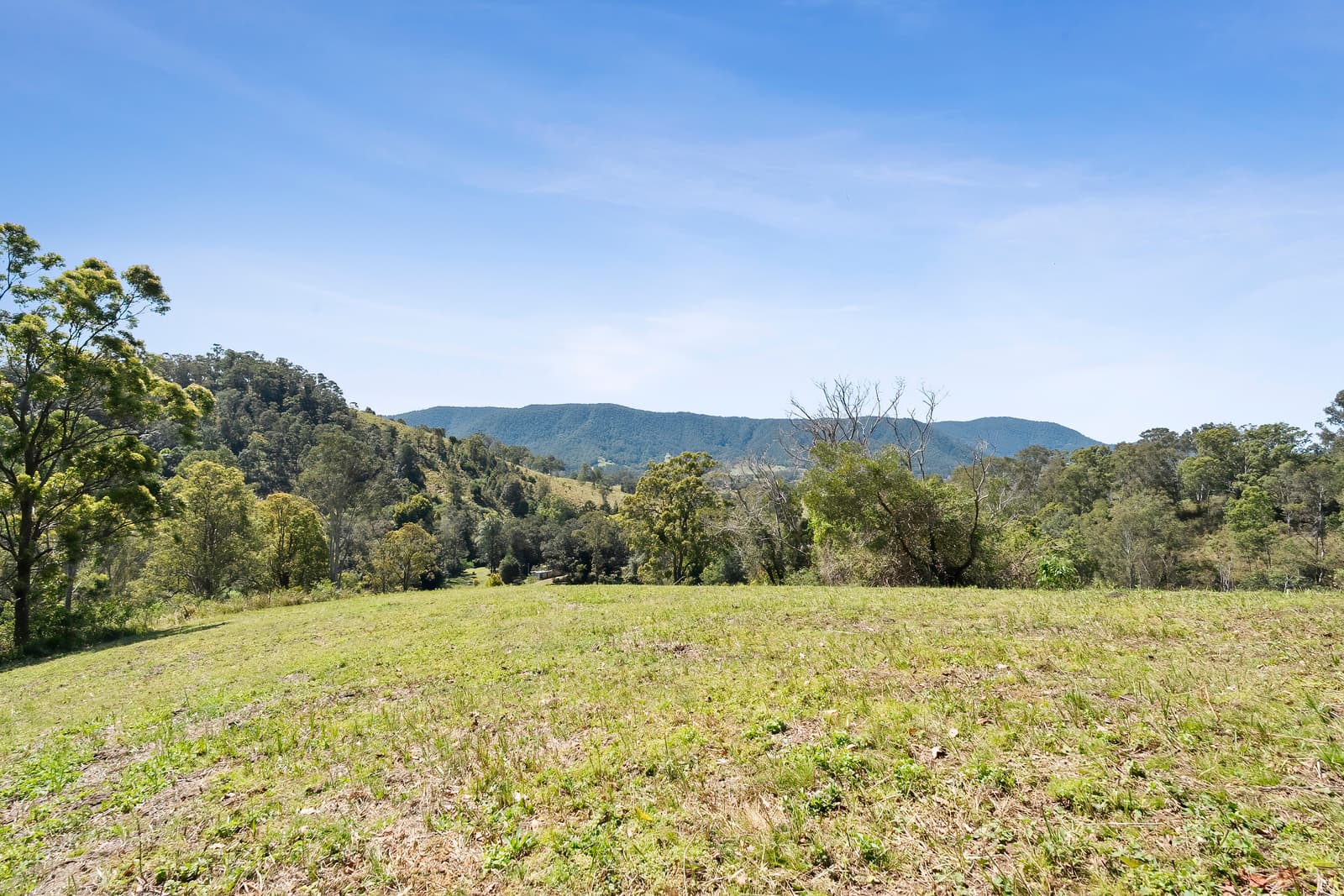 83 Lees Road, Conondale, Conondale - Thumbnail 4