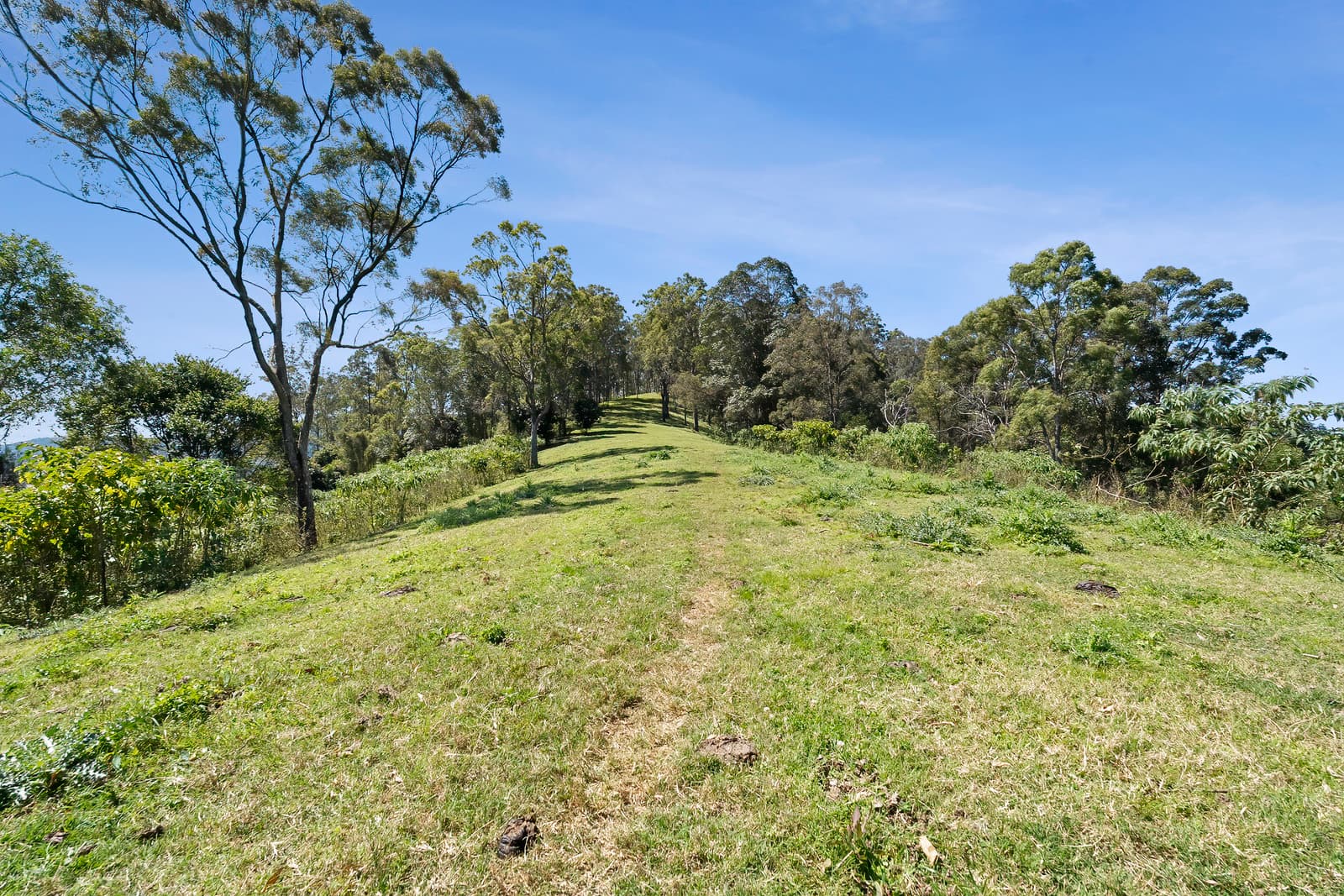 83 Lees Road, Conondale, Conondale - Thumbnail 5
