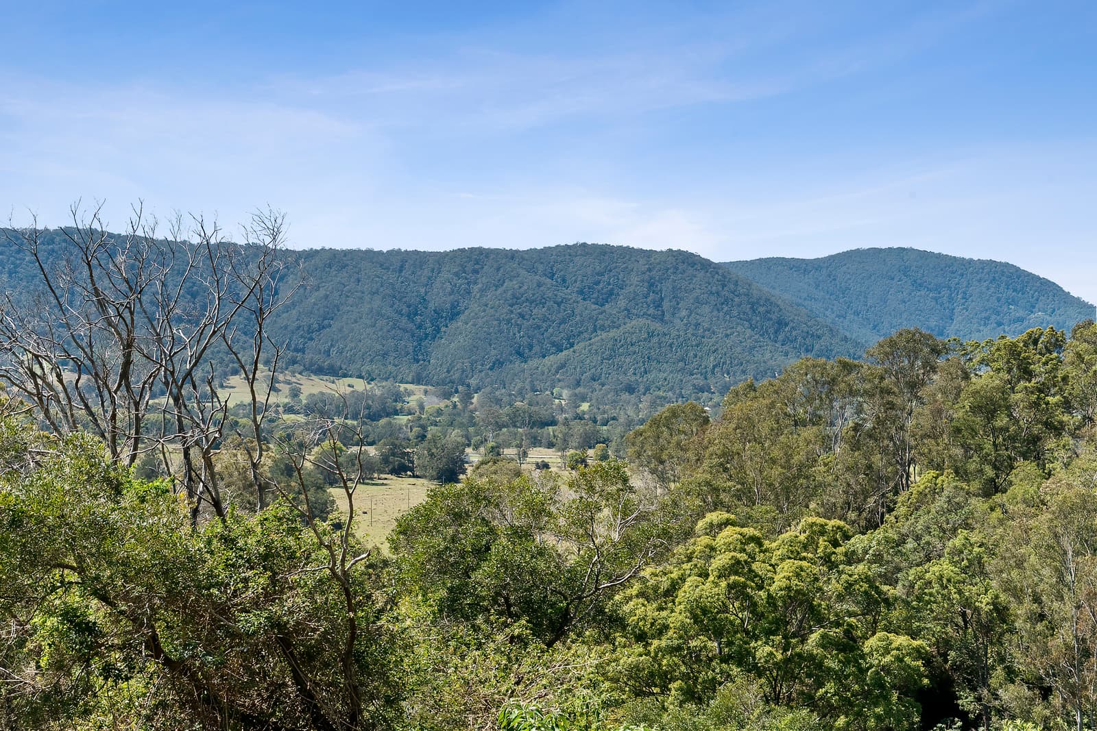 83 Lees Road, Conondale, Conondale - Thumbnail 6