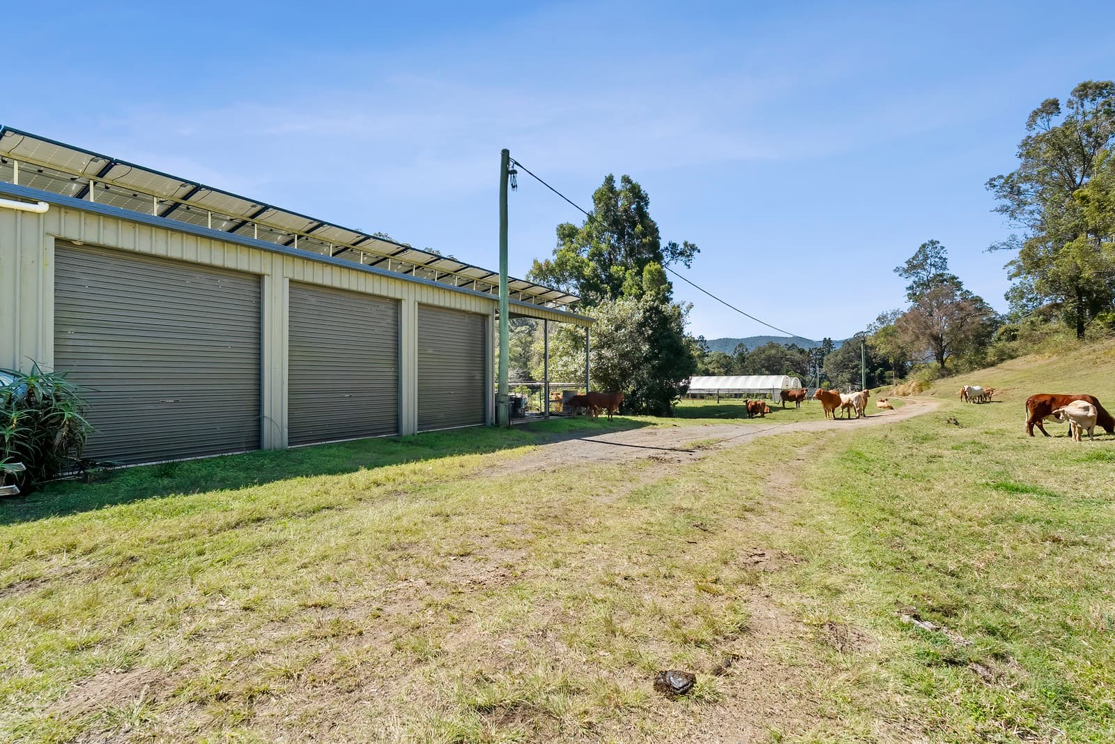 83 Lees Road, Conondale, Conondale - Thumbnail 3