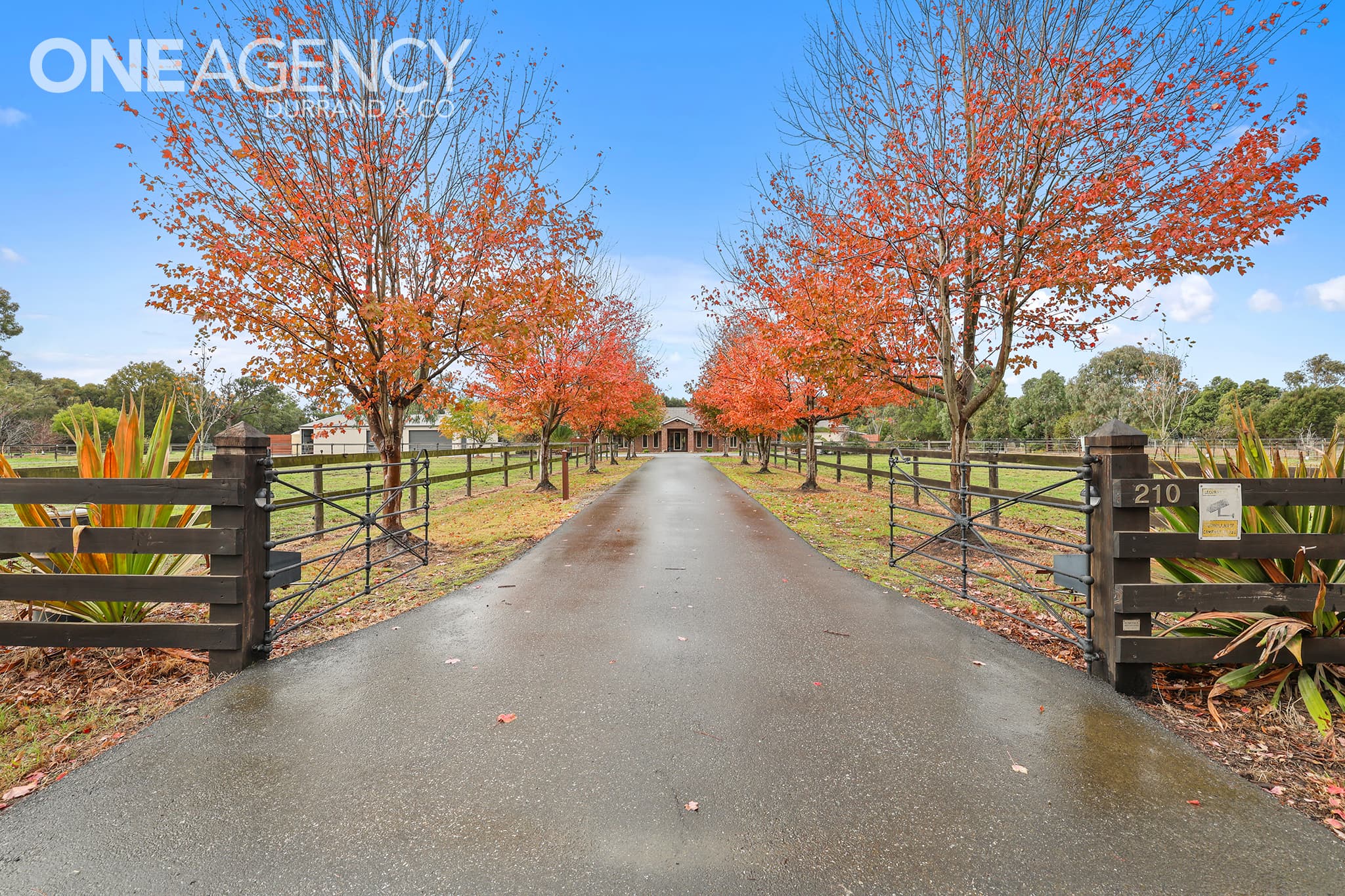 210 Nash Road, Bunyip, Bunyip - Thumbnail 5