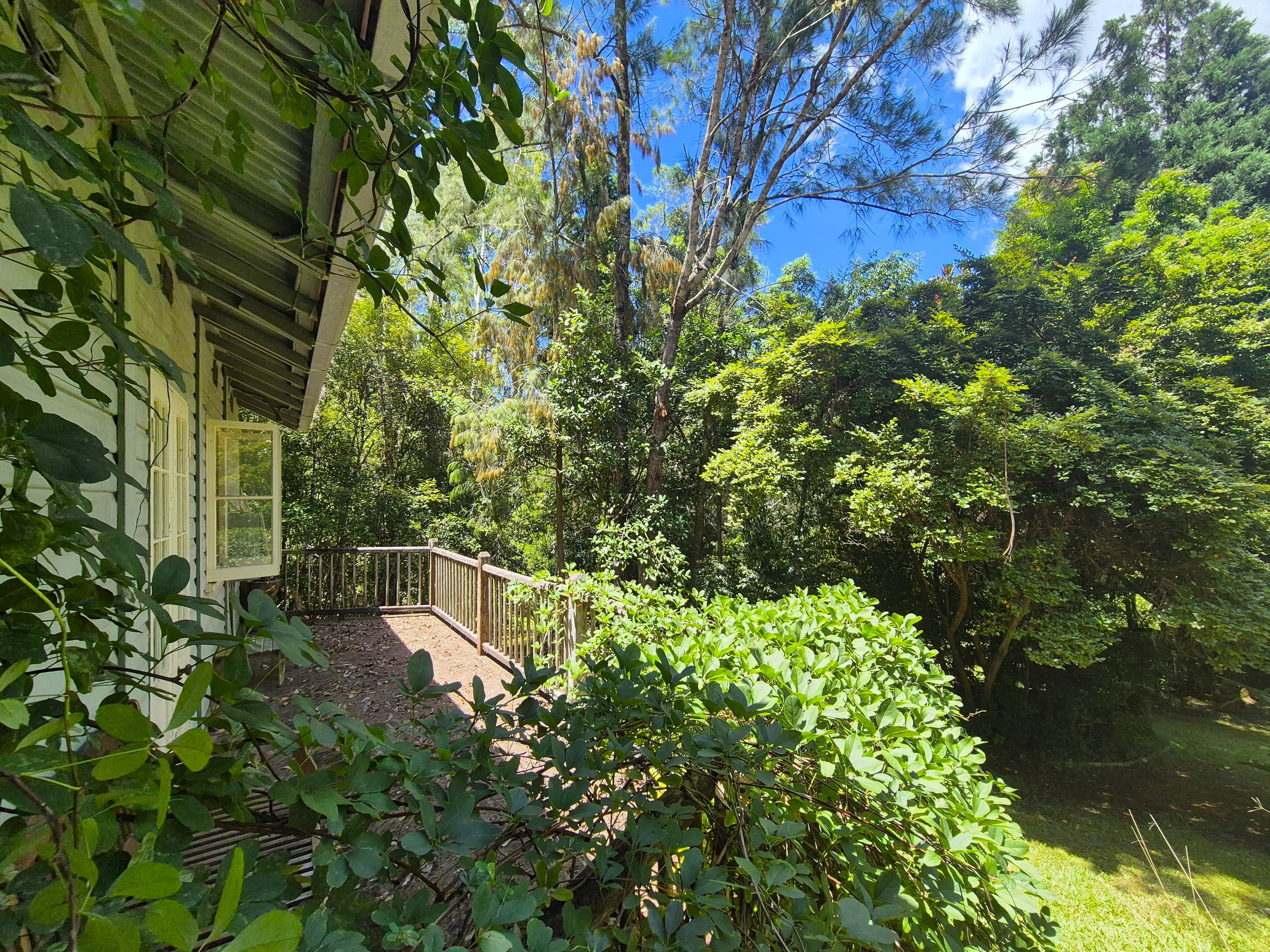 185 Sullivans Road, Lorne, Lorne - Thumbnail 7