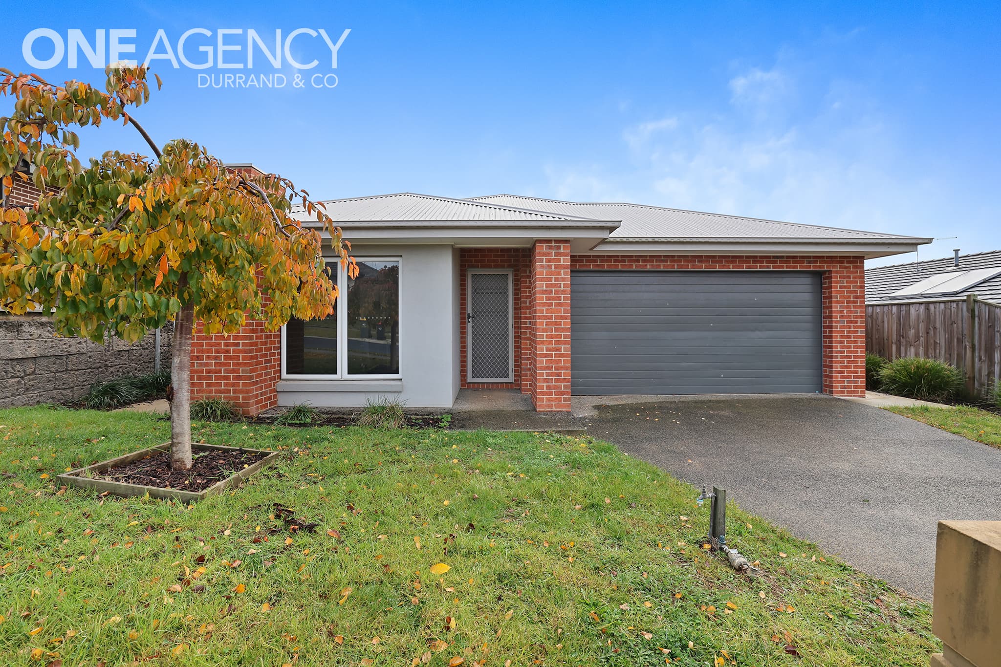 19 Sunnybrook Avenue, Warragul, Warragul - Image 1