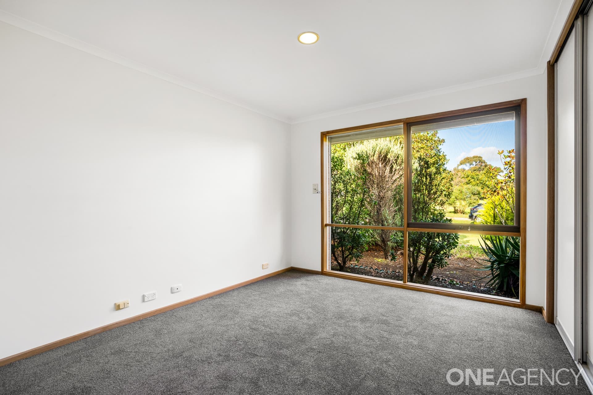 13 Ada Street, Clifton Springs, Clifton Springs - Thumbnail 5