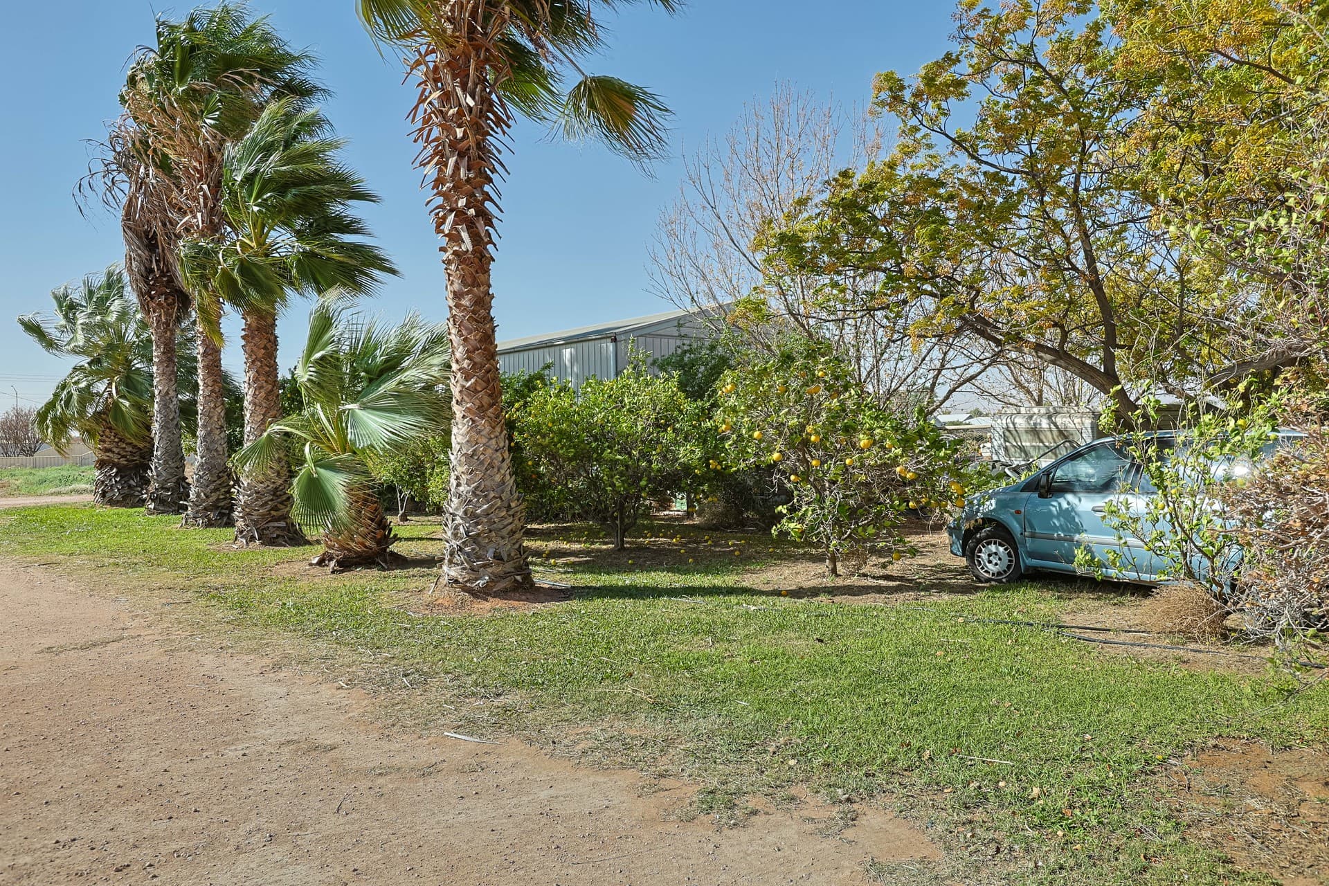 636 Walnut Avenue, Mildura, Mildura - Thumbnail 4